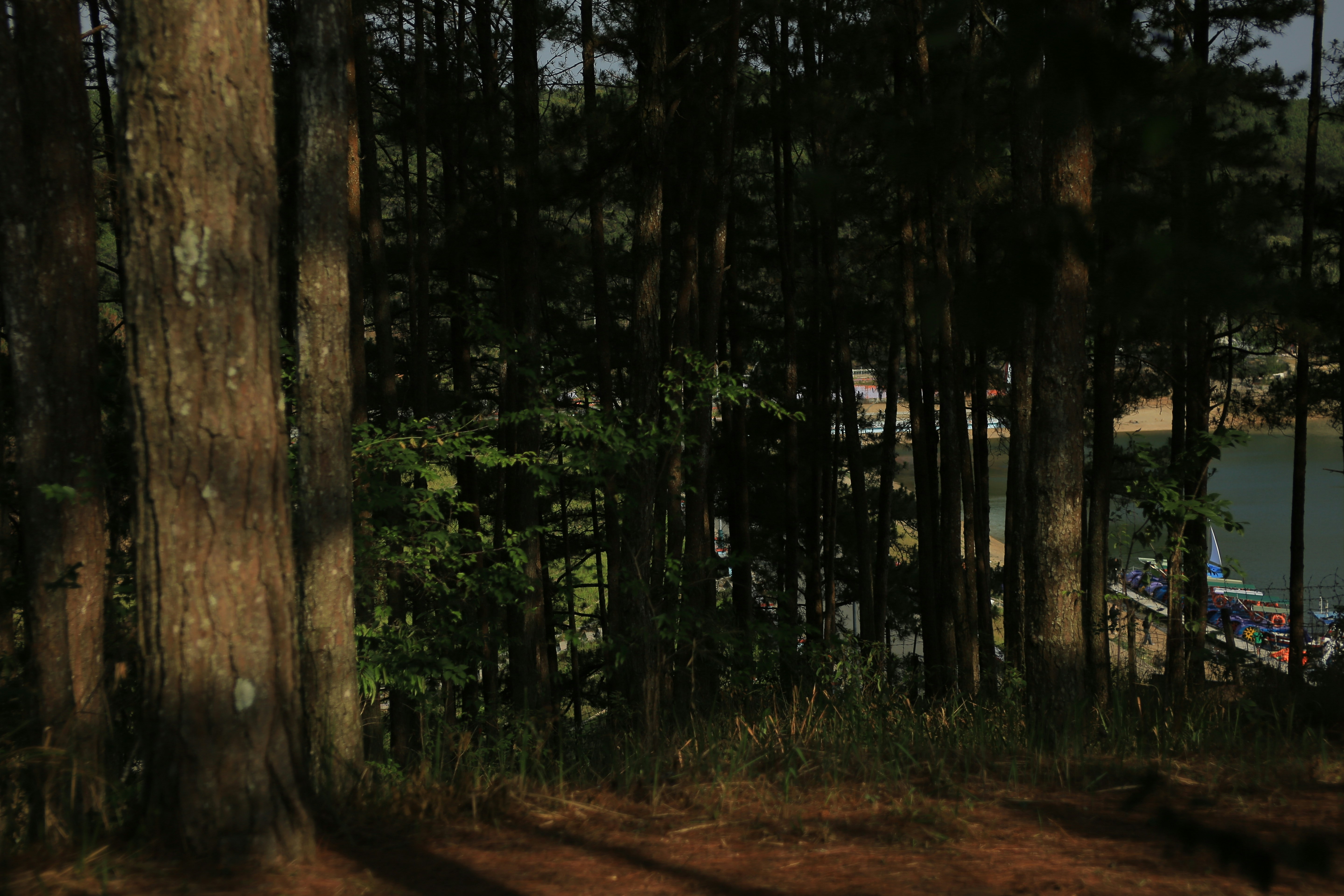 Photo by clintonkangpham