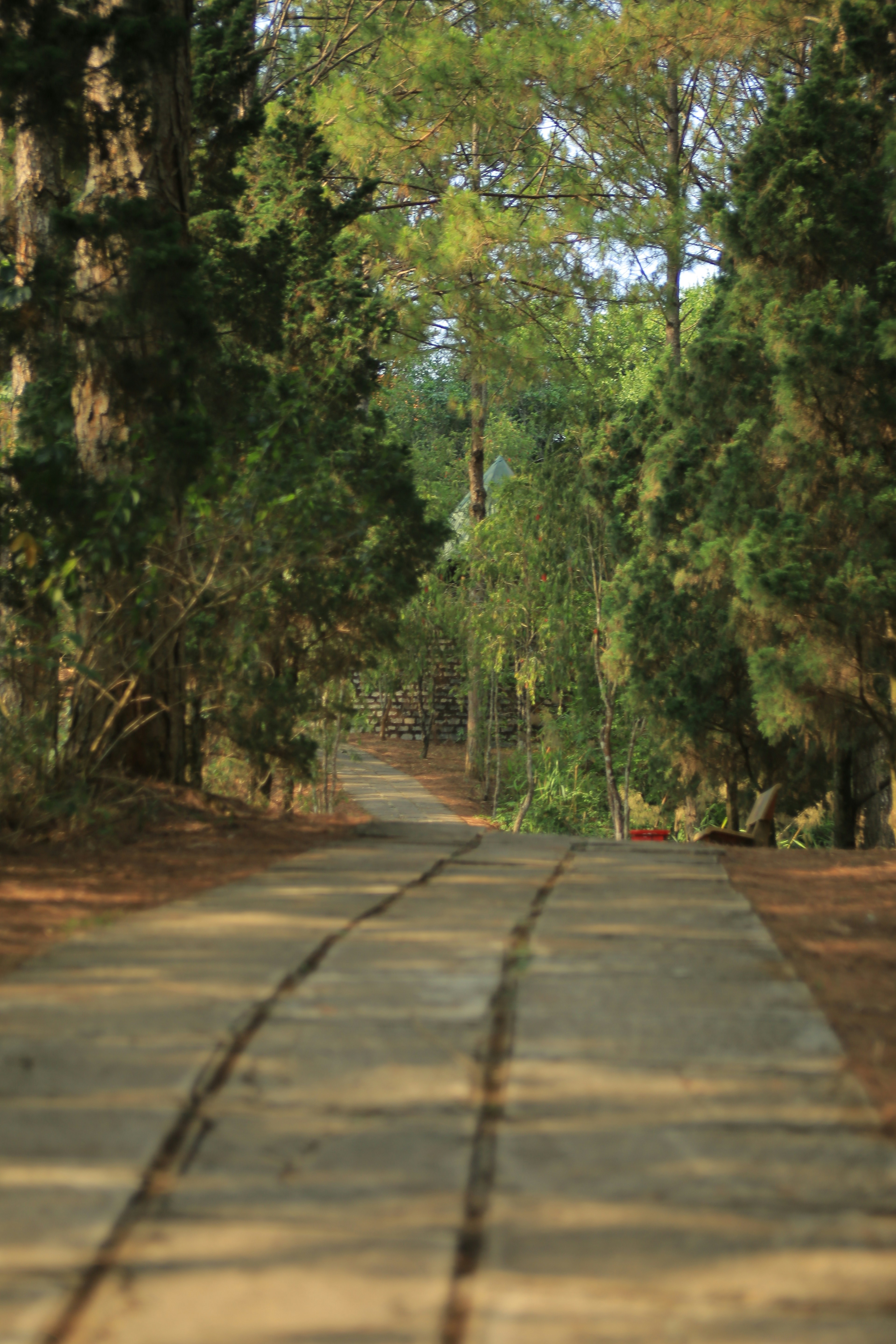 Photo by clintonkangpham