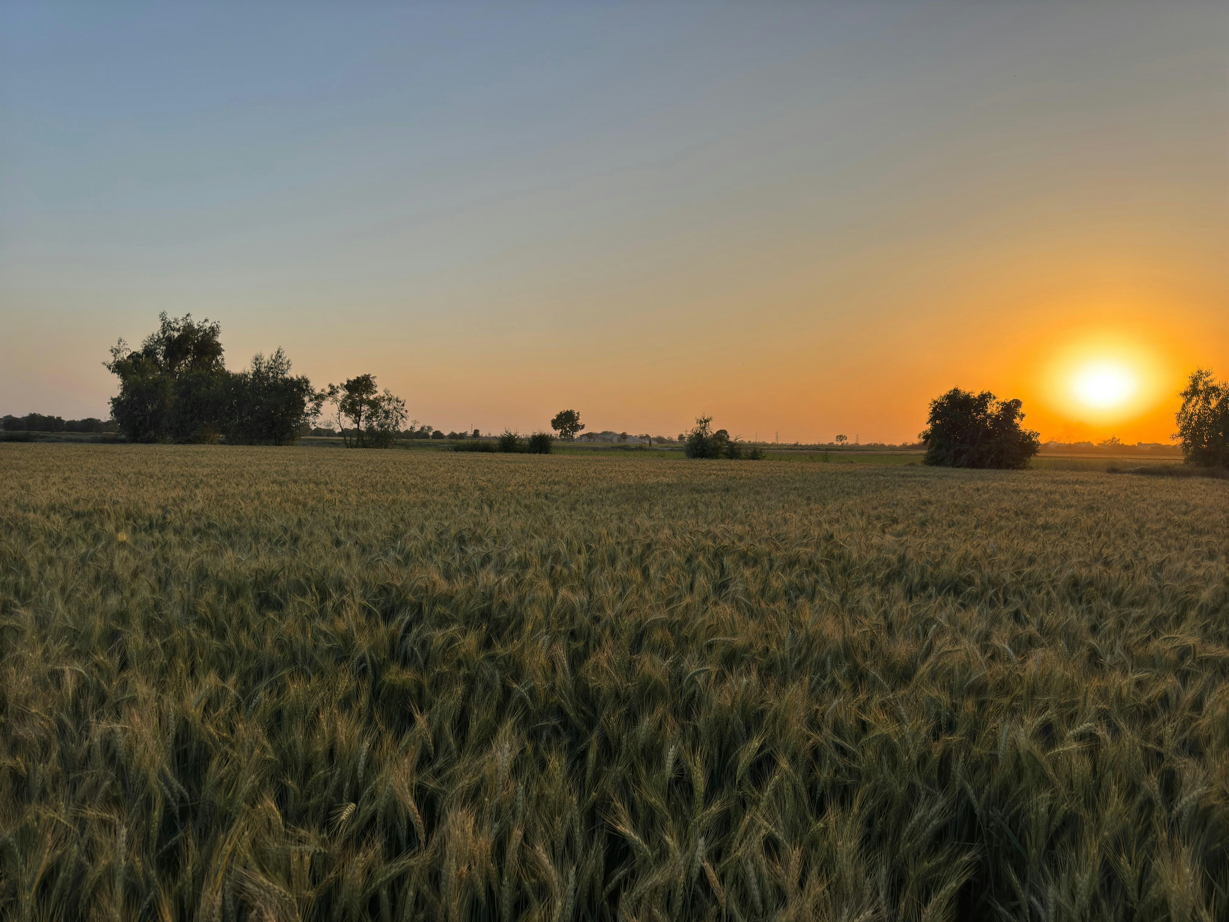 Photo by salmanyaqoob