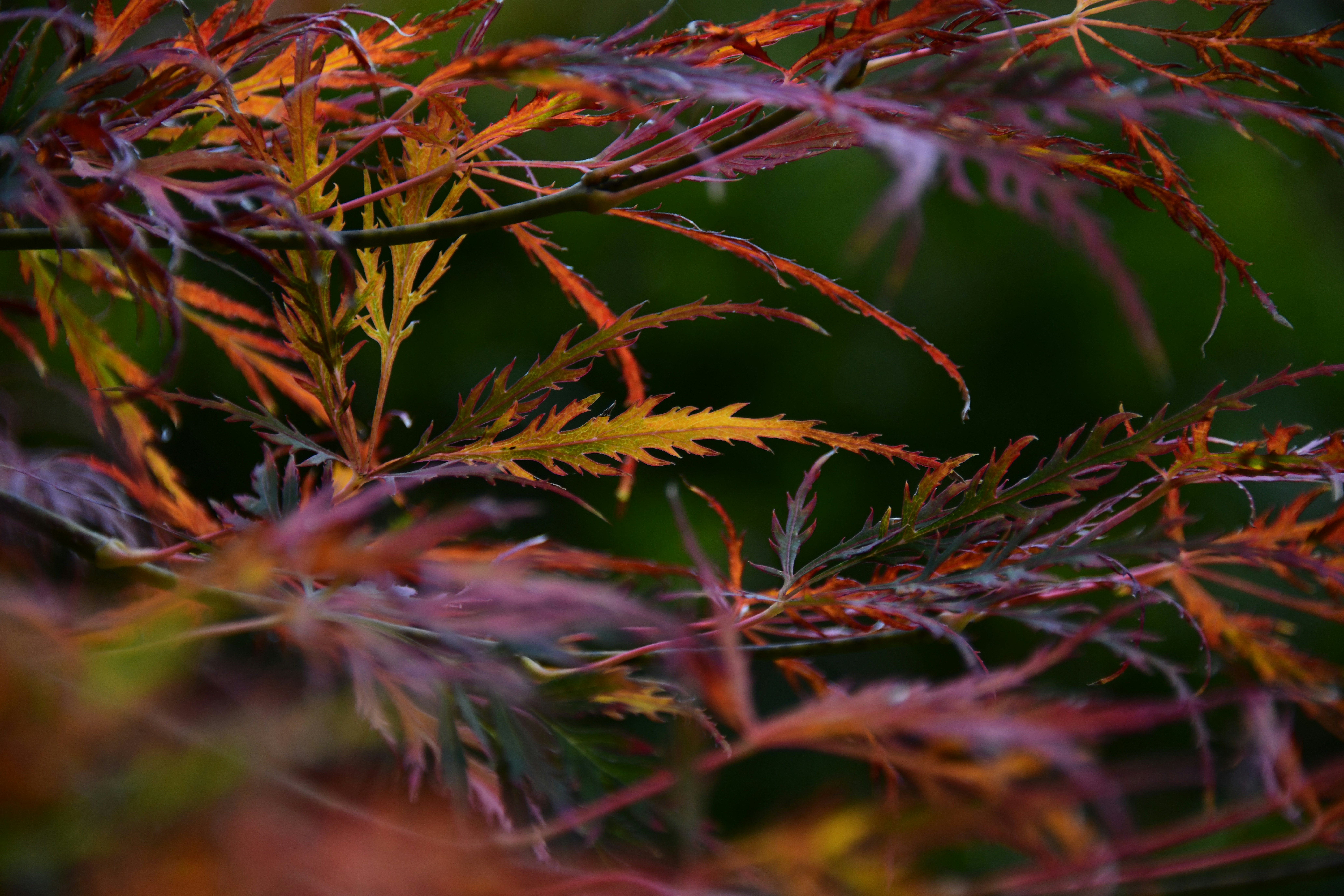 Photo by richard7seals