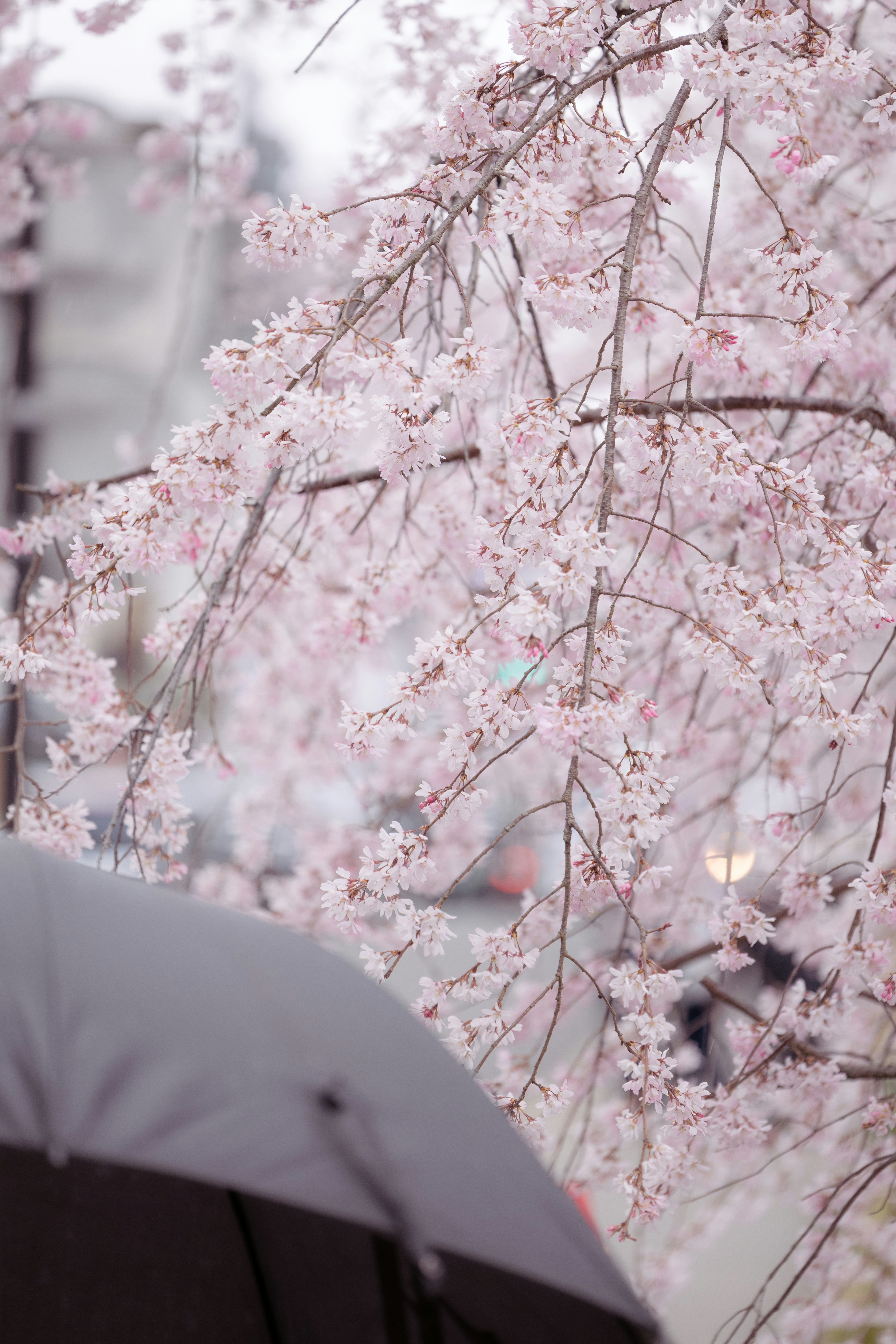 Photo by wenhao_ruan