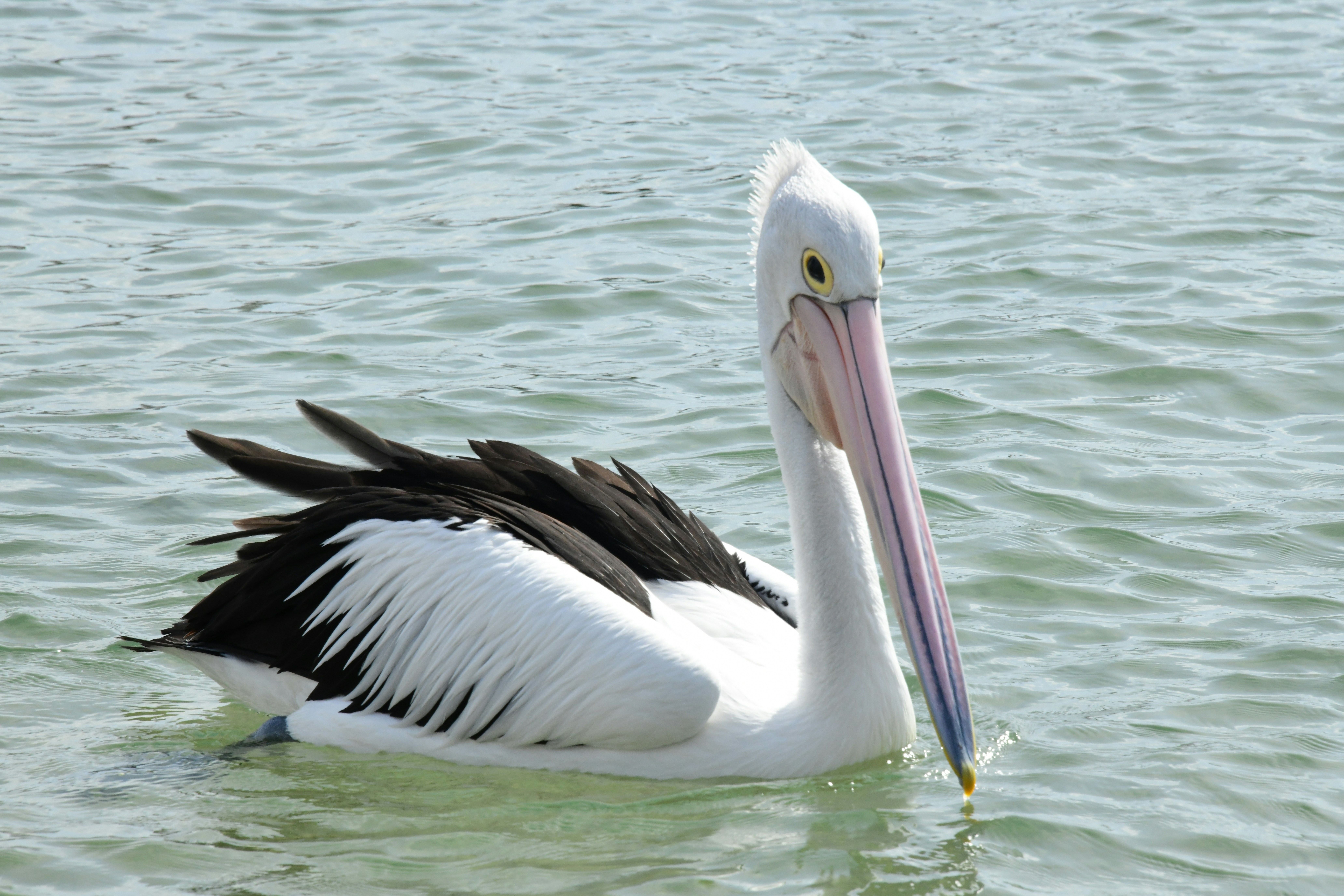 Photo by richard7seals