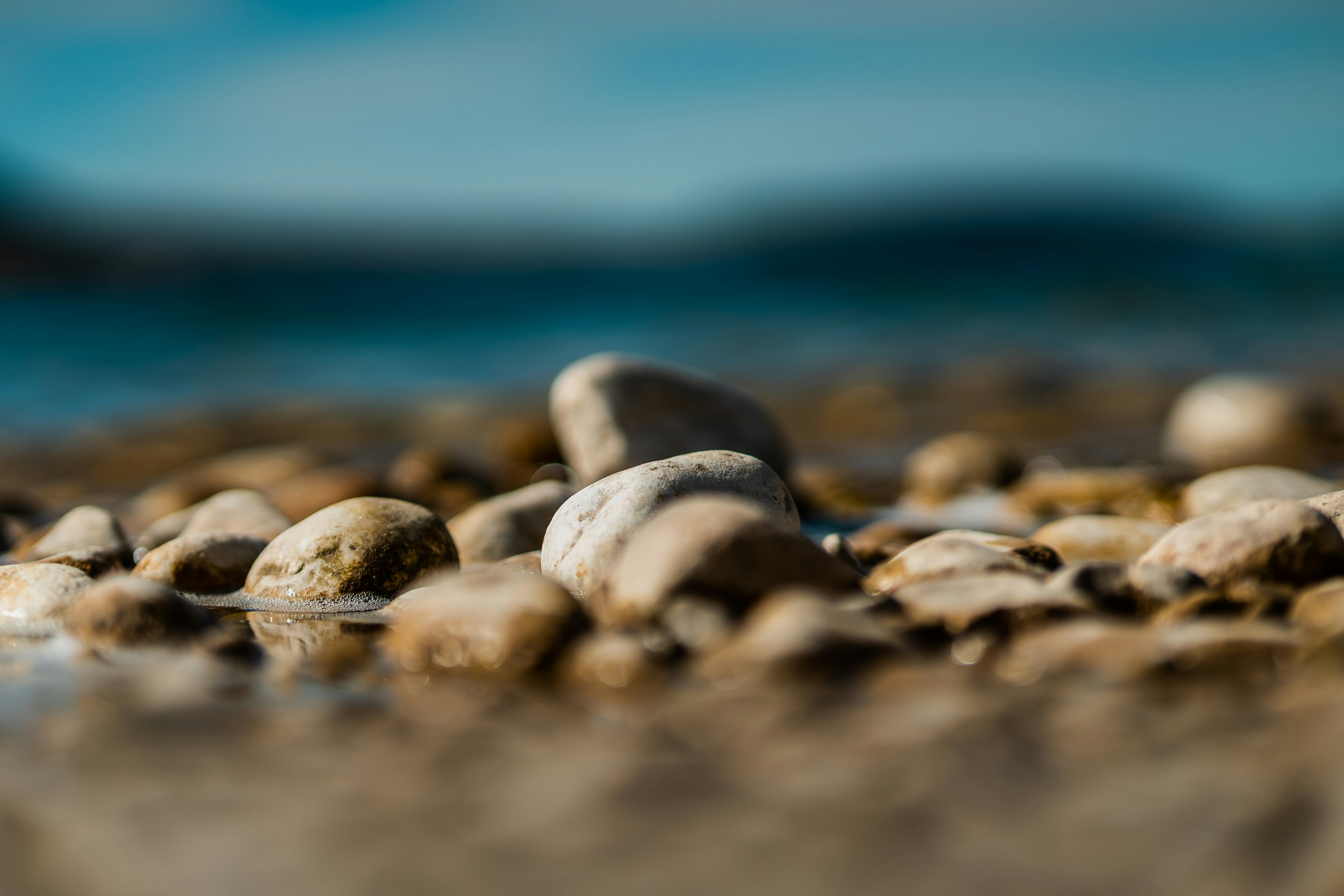 Photo by jahan_photobox