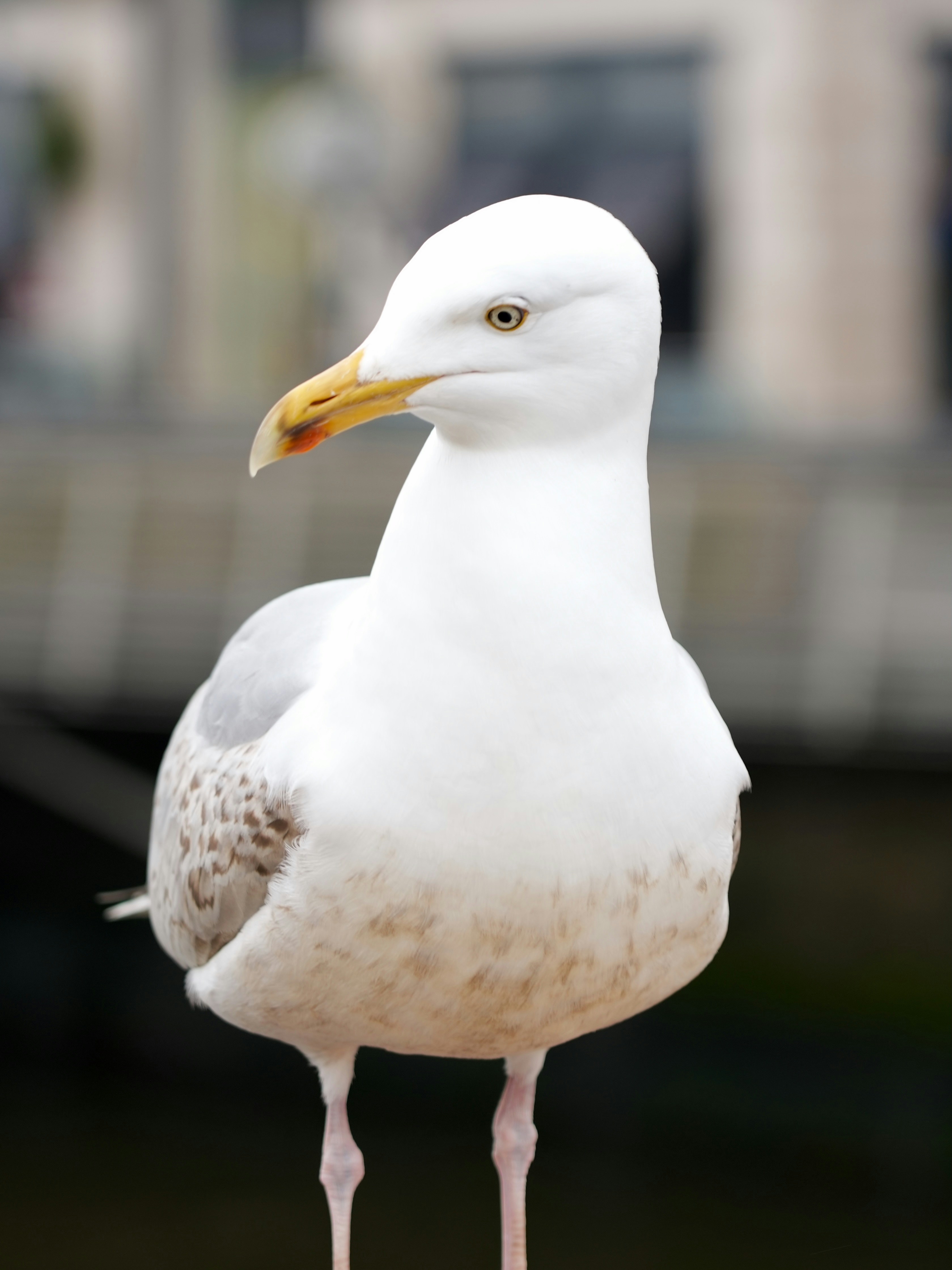 Ein veröffentlichtes Foto