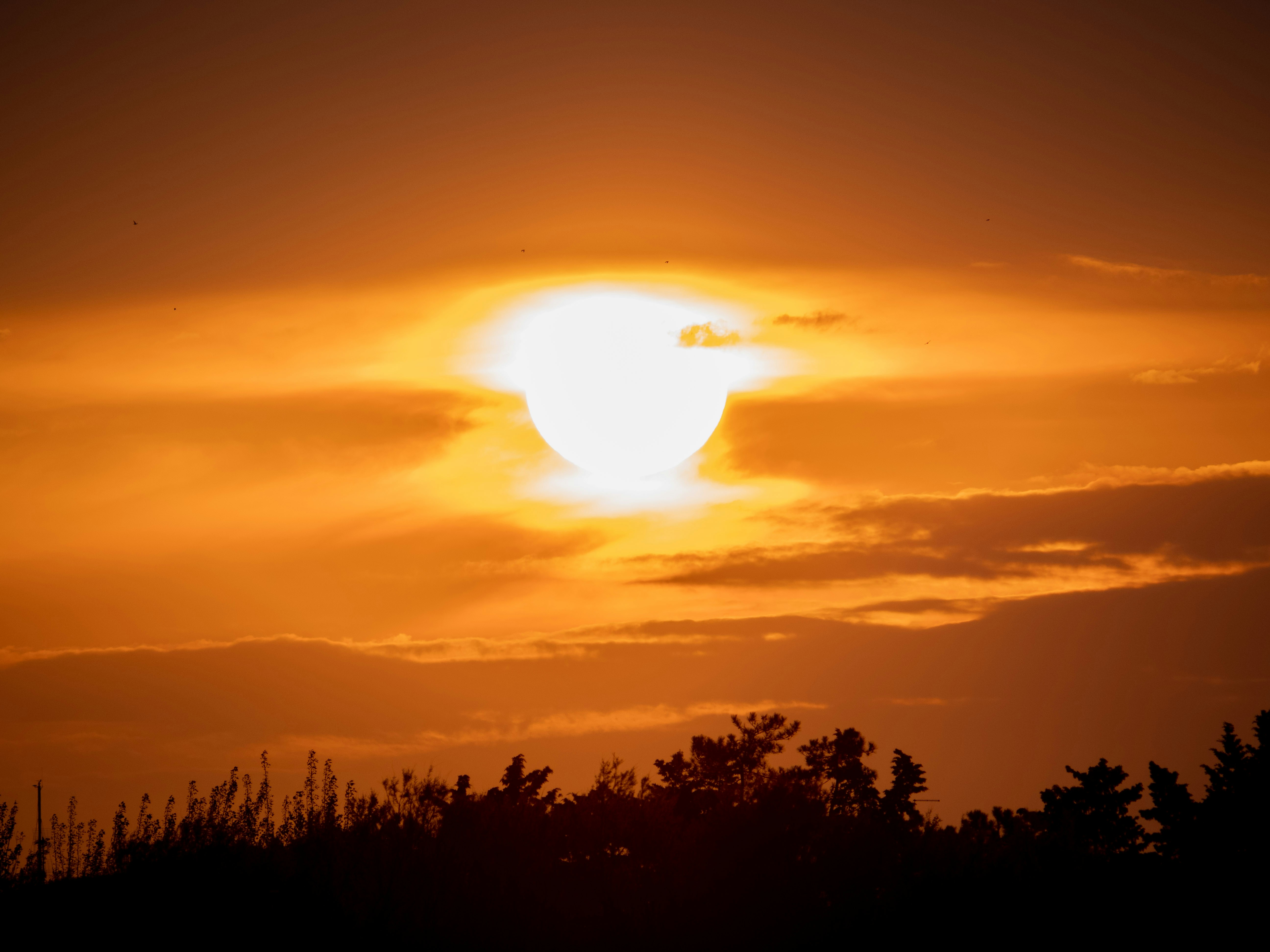 Photo by gopitri_prem