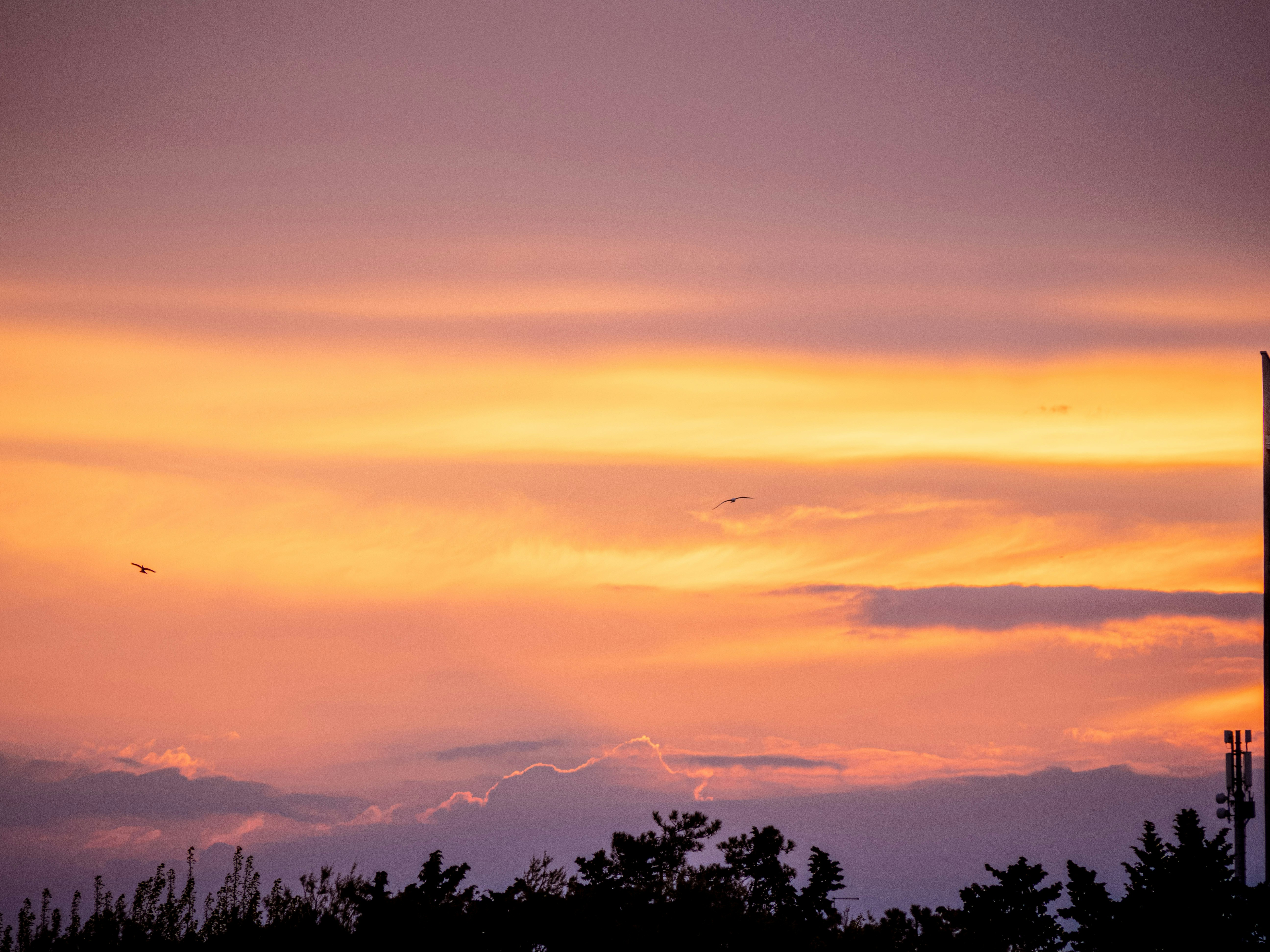 Photo by gopitri_prem