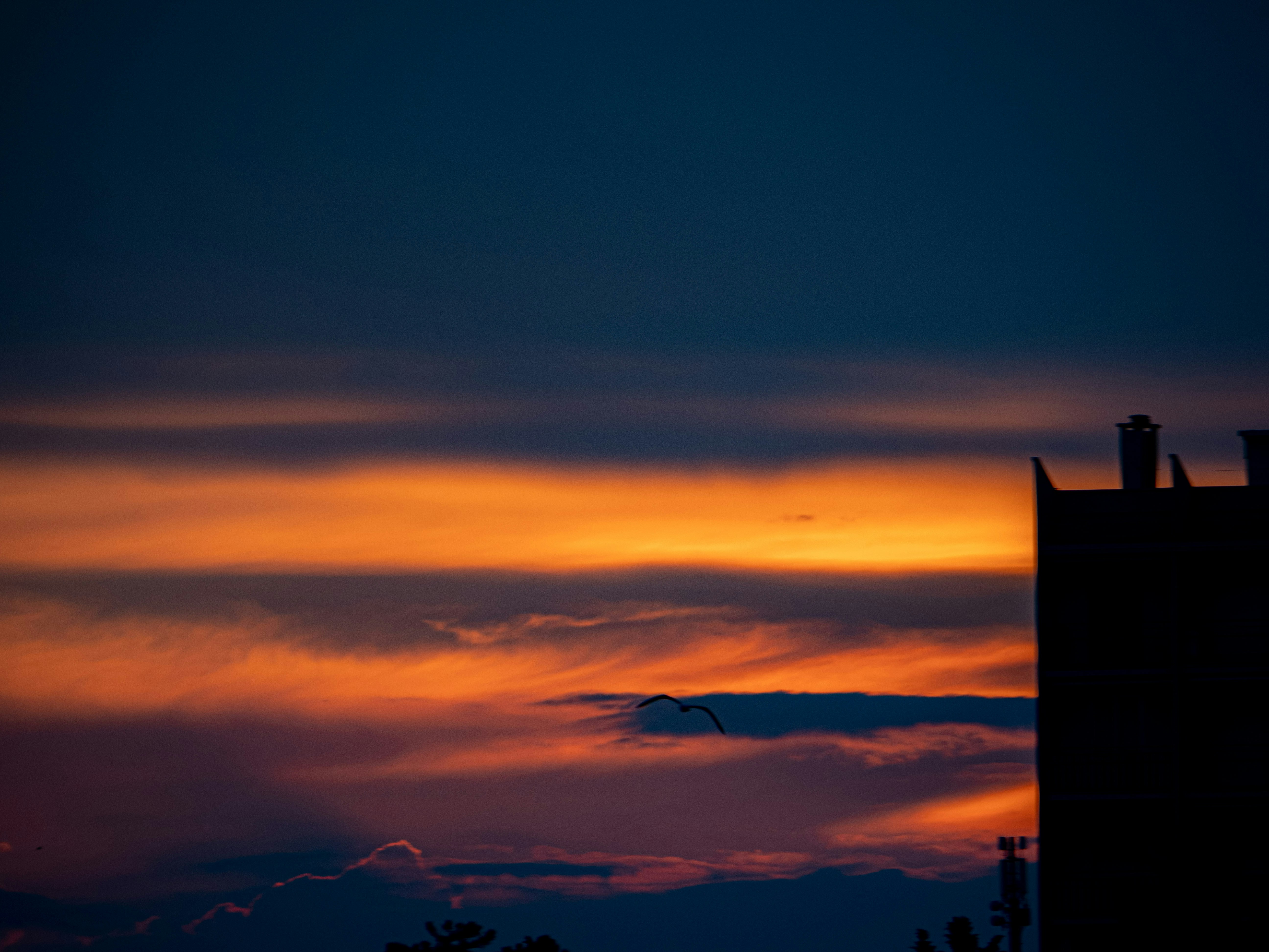 Photo by gopitri_prem