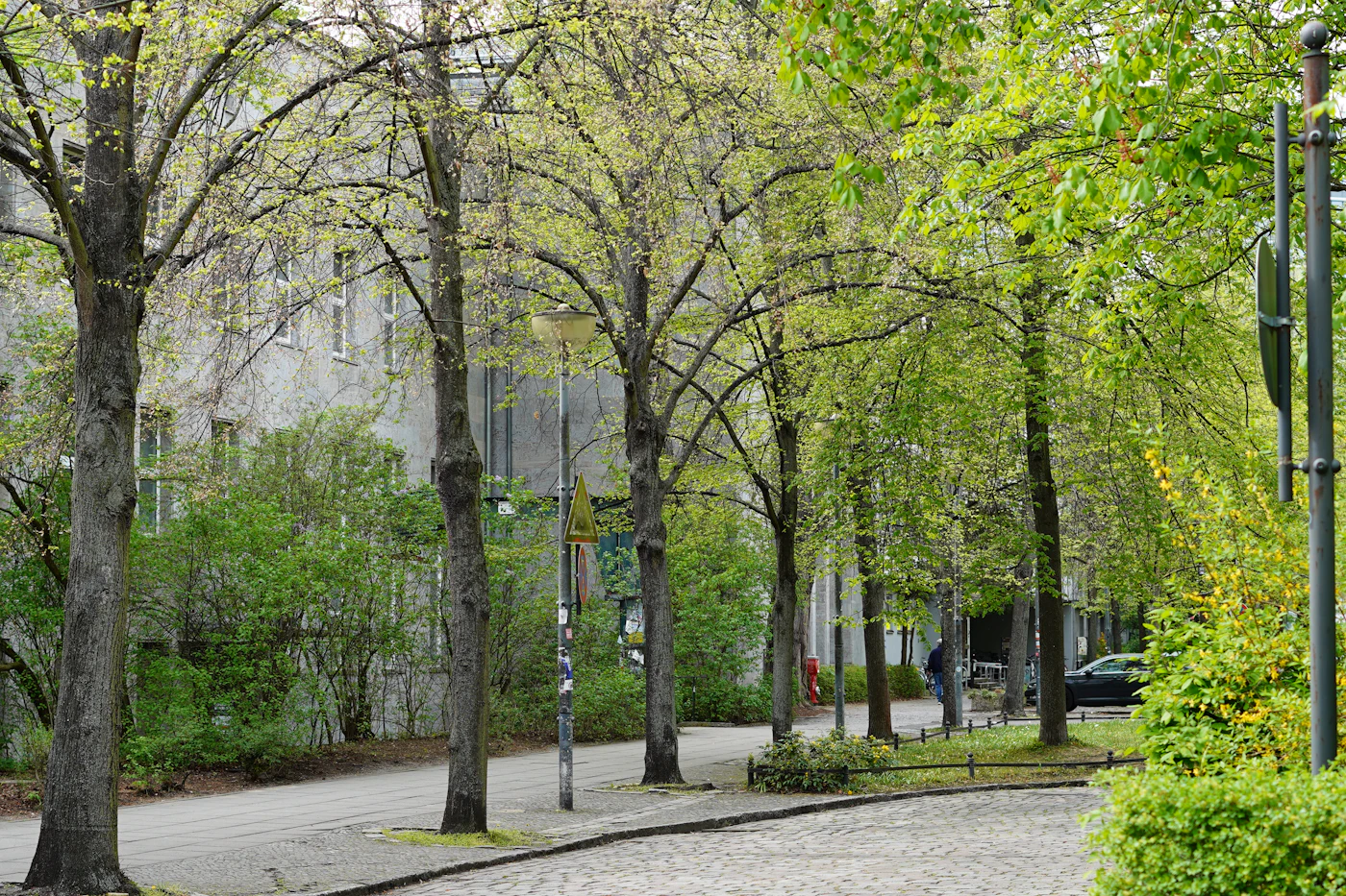 A narrow street softened with trees and planters