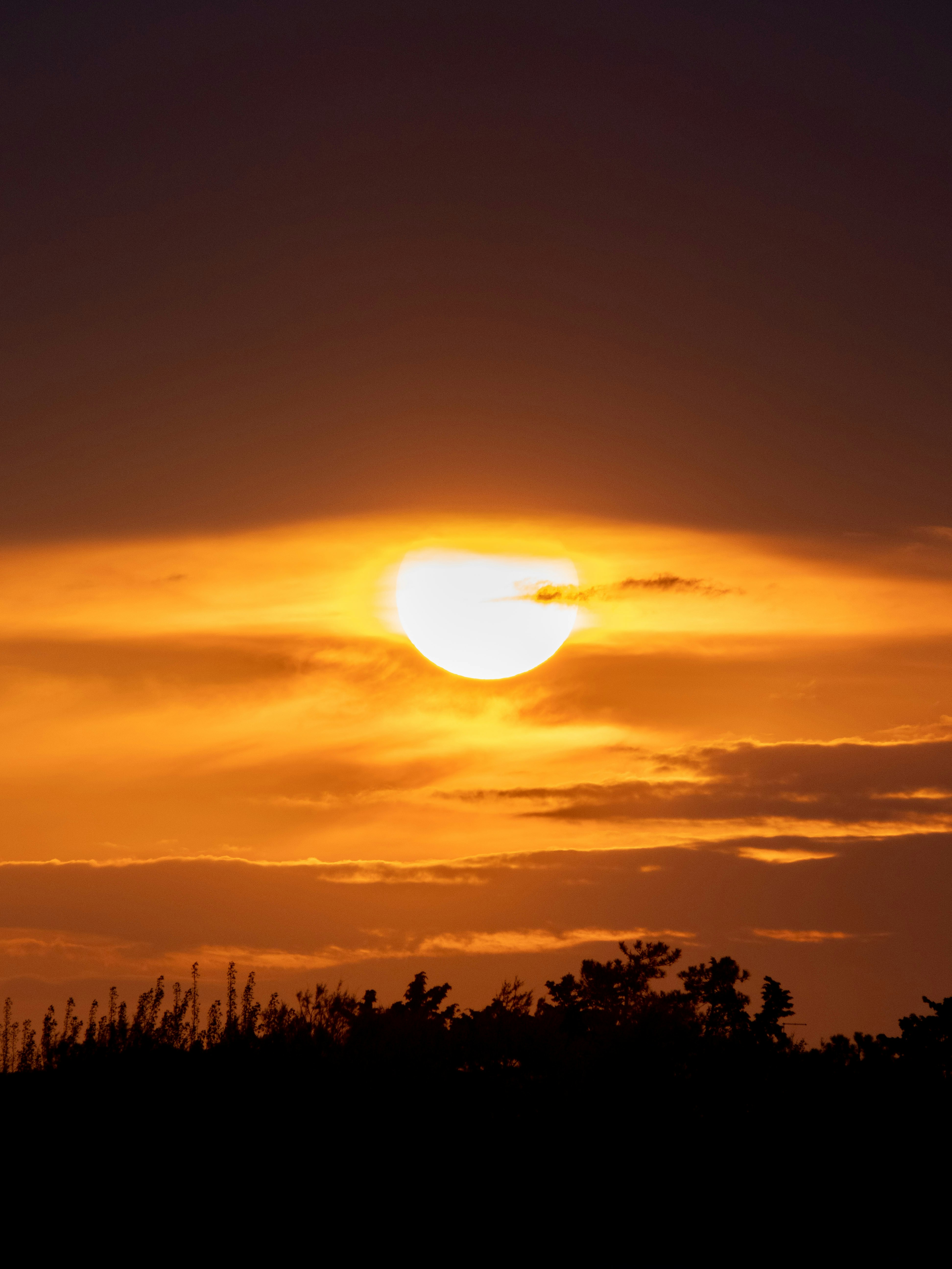 Photo by gopitri_prem