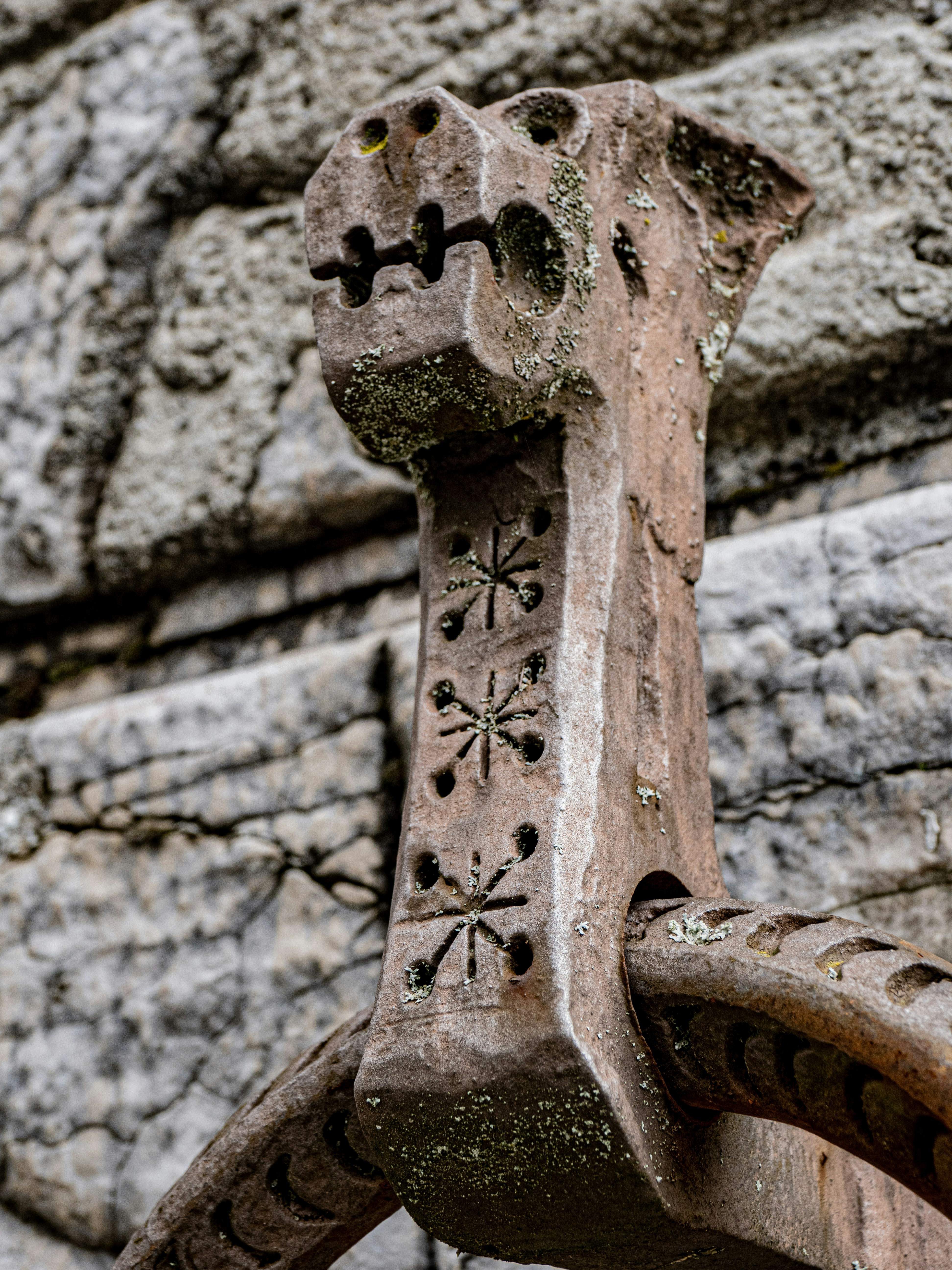 Photo by gopitri_prem