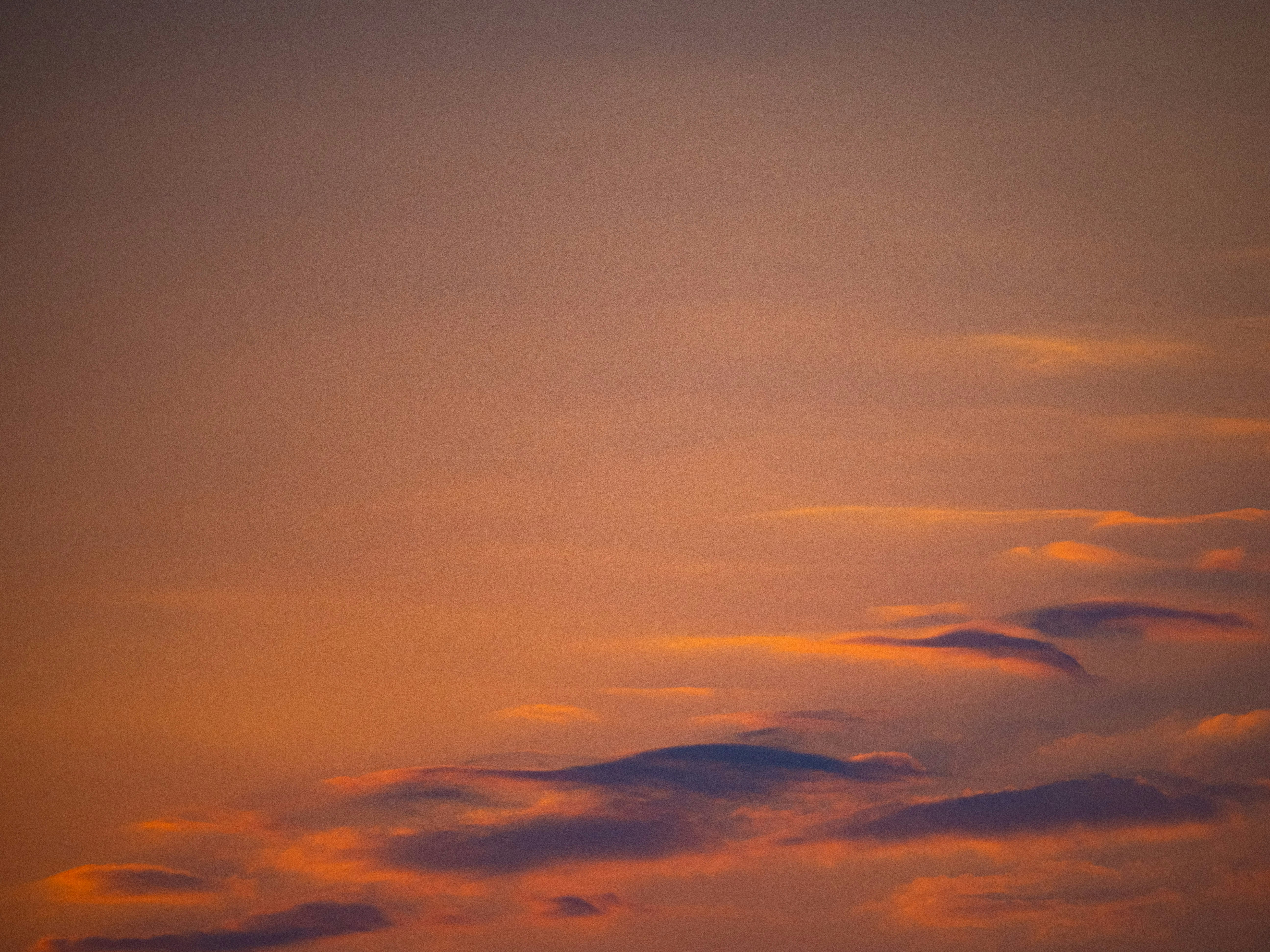 Photo by gopitri_prem