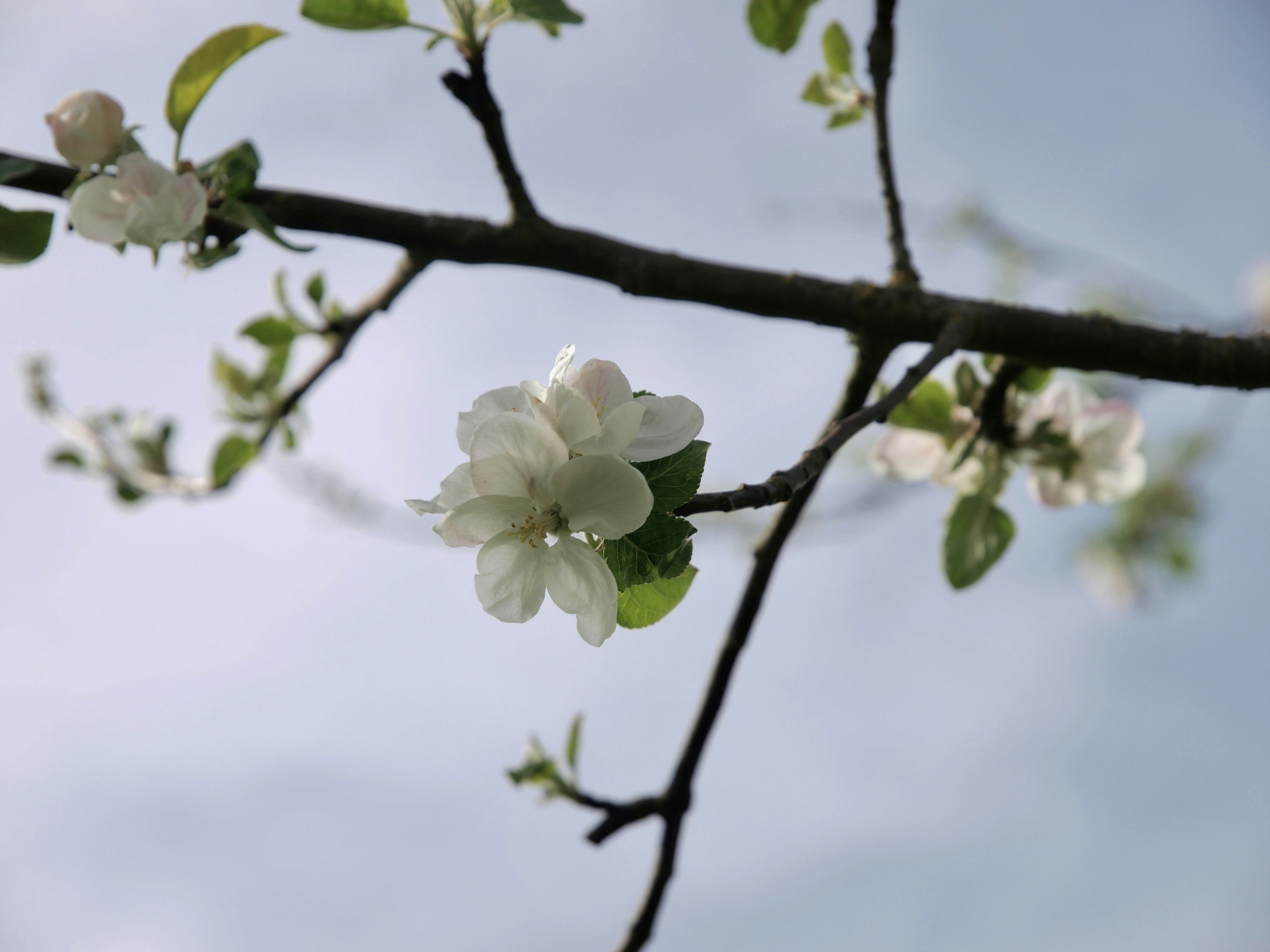 Photo by myworldisblue