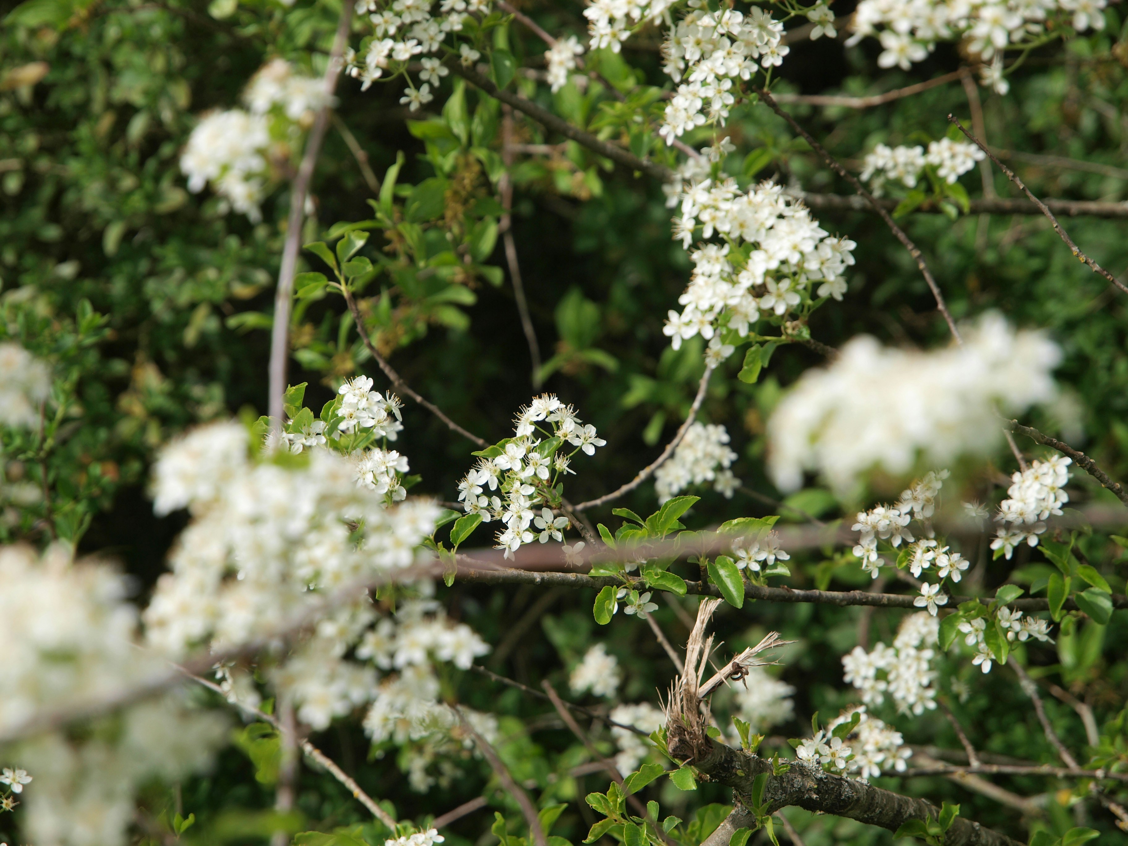 Photo by myworldisblue