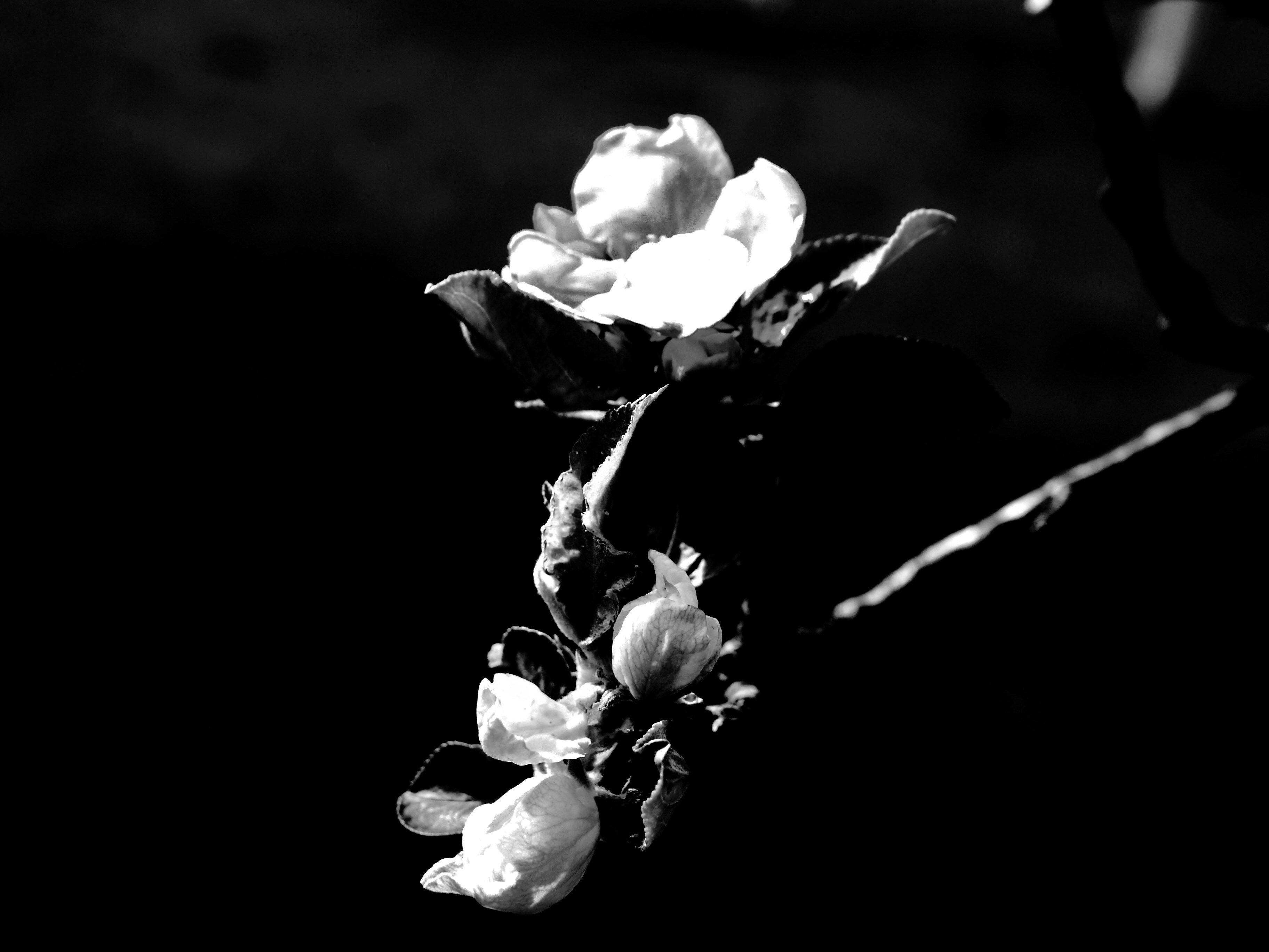 Photo by myworldisblue