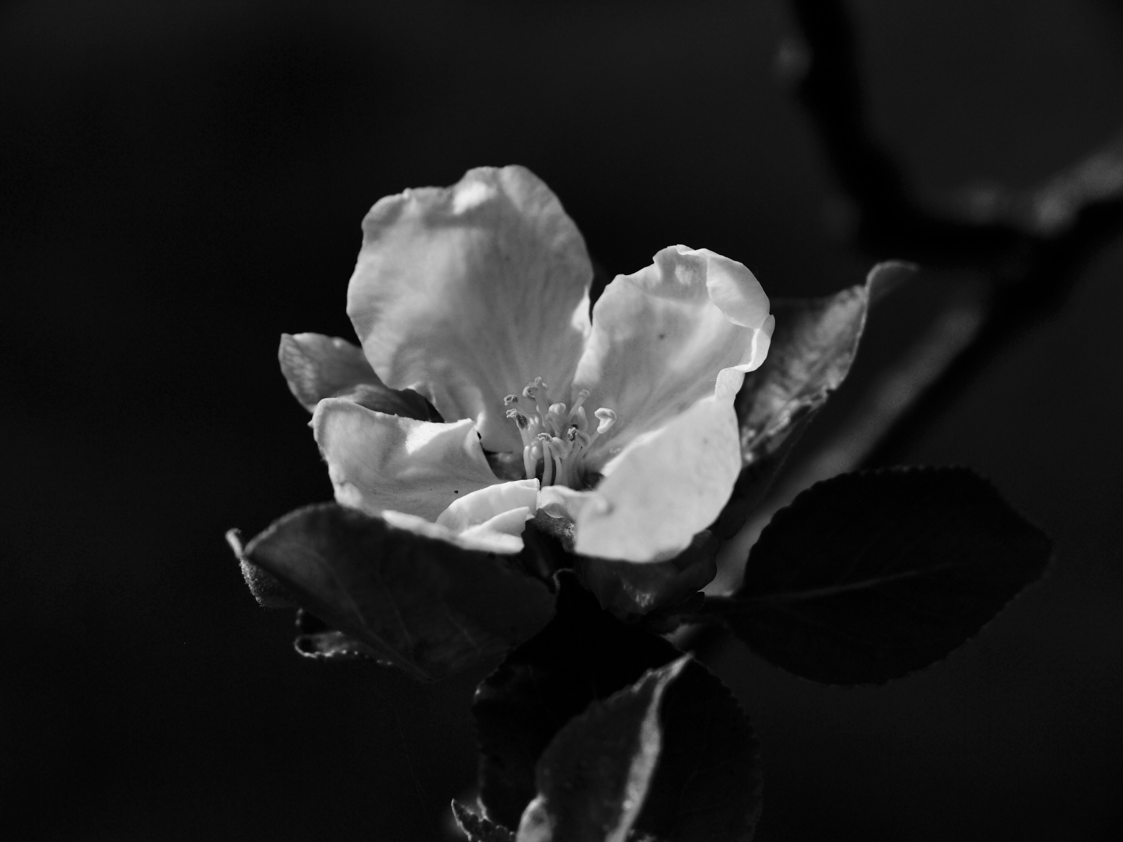 Photo by myworldisblue