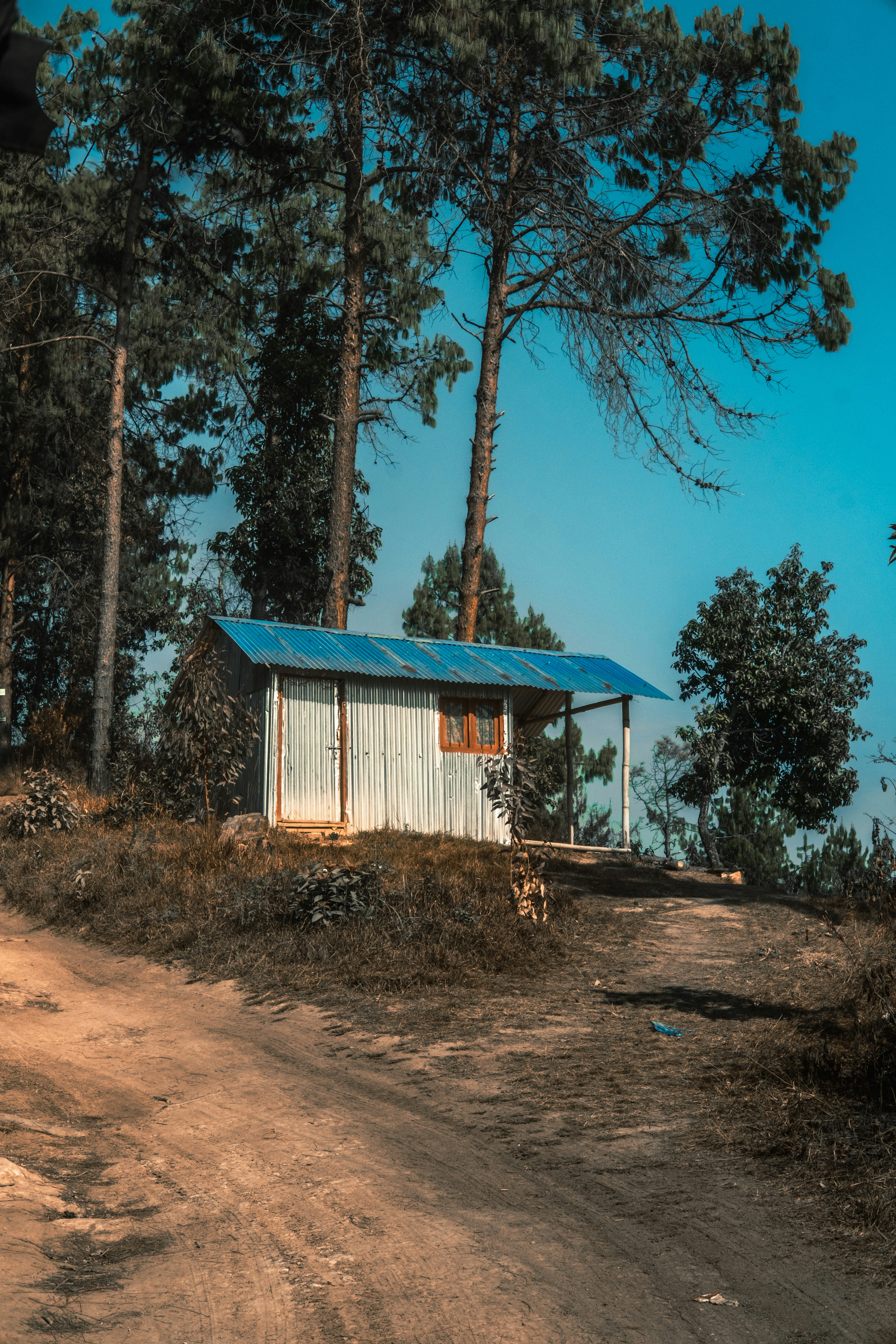 A small house stands on a dirt road.