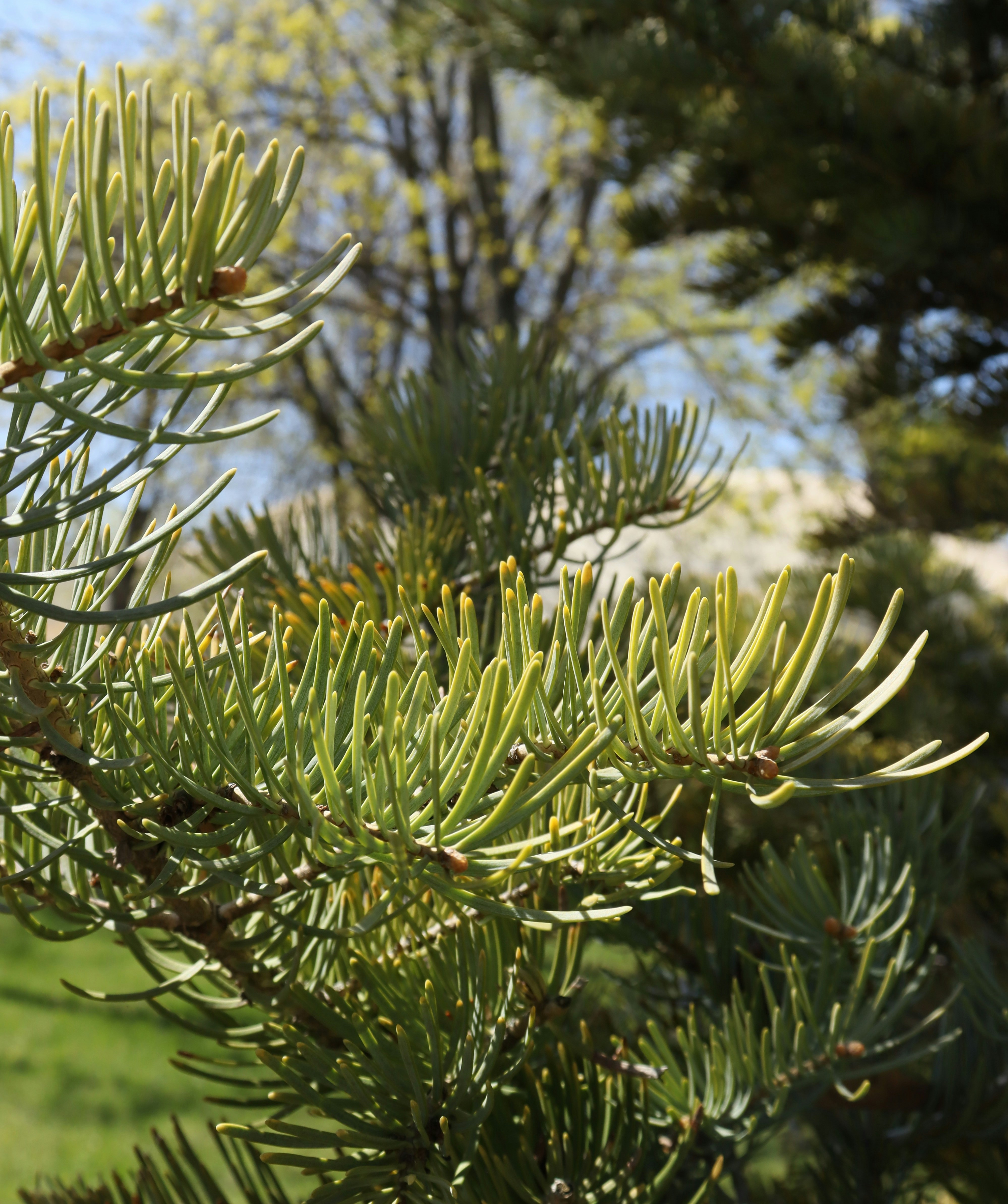 Photo by bored_mongoose