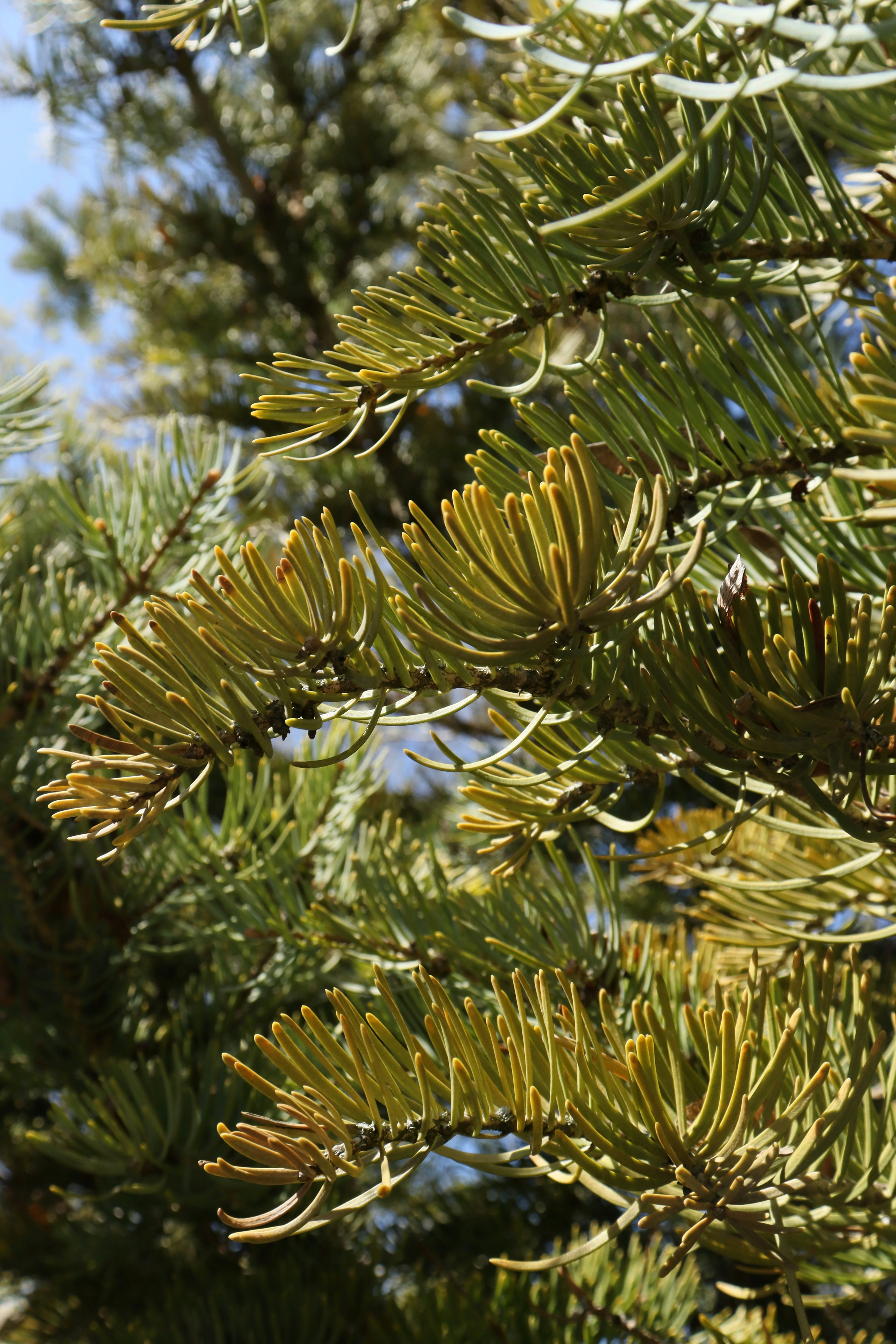 Photo by bored_mongoose