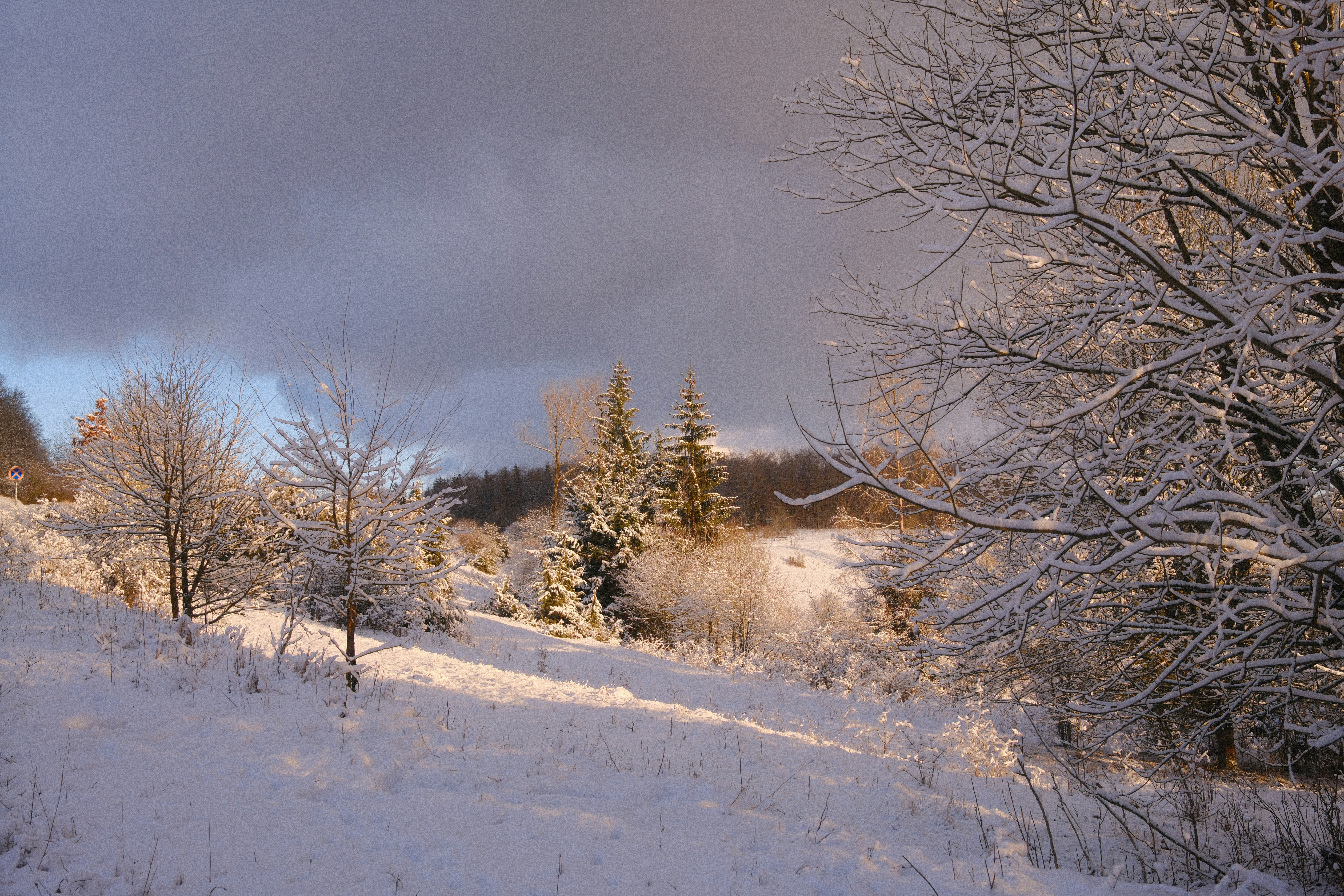 Photo by julesmerkle