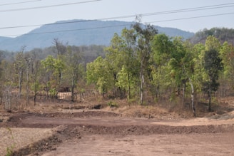 Trees and a mountain landscape are in view.