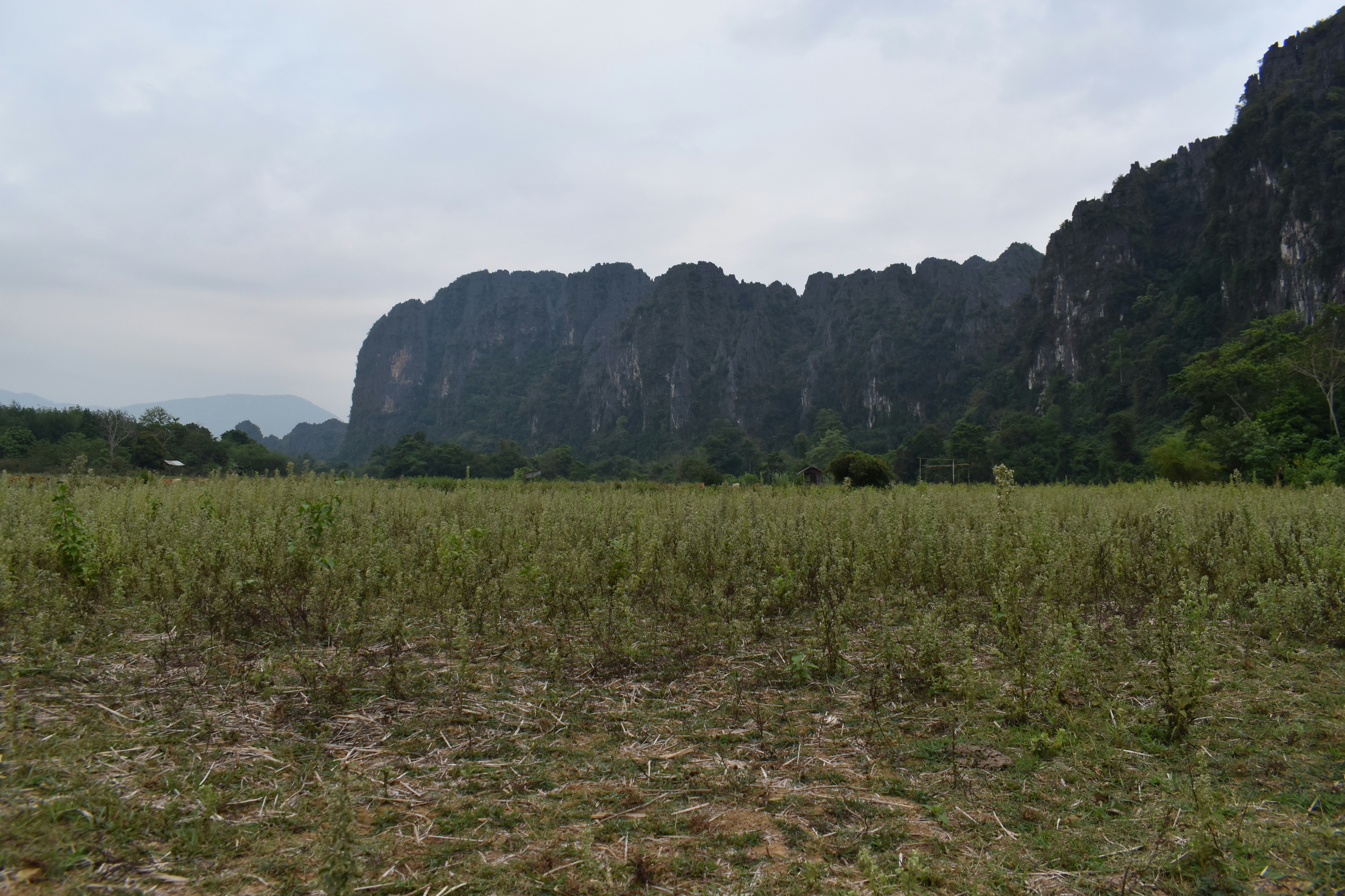 Photo by annnnnnnna8