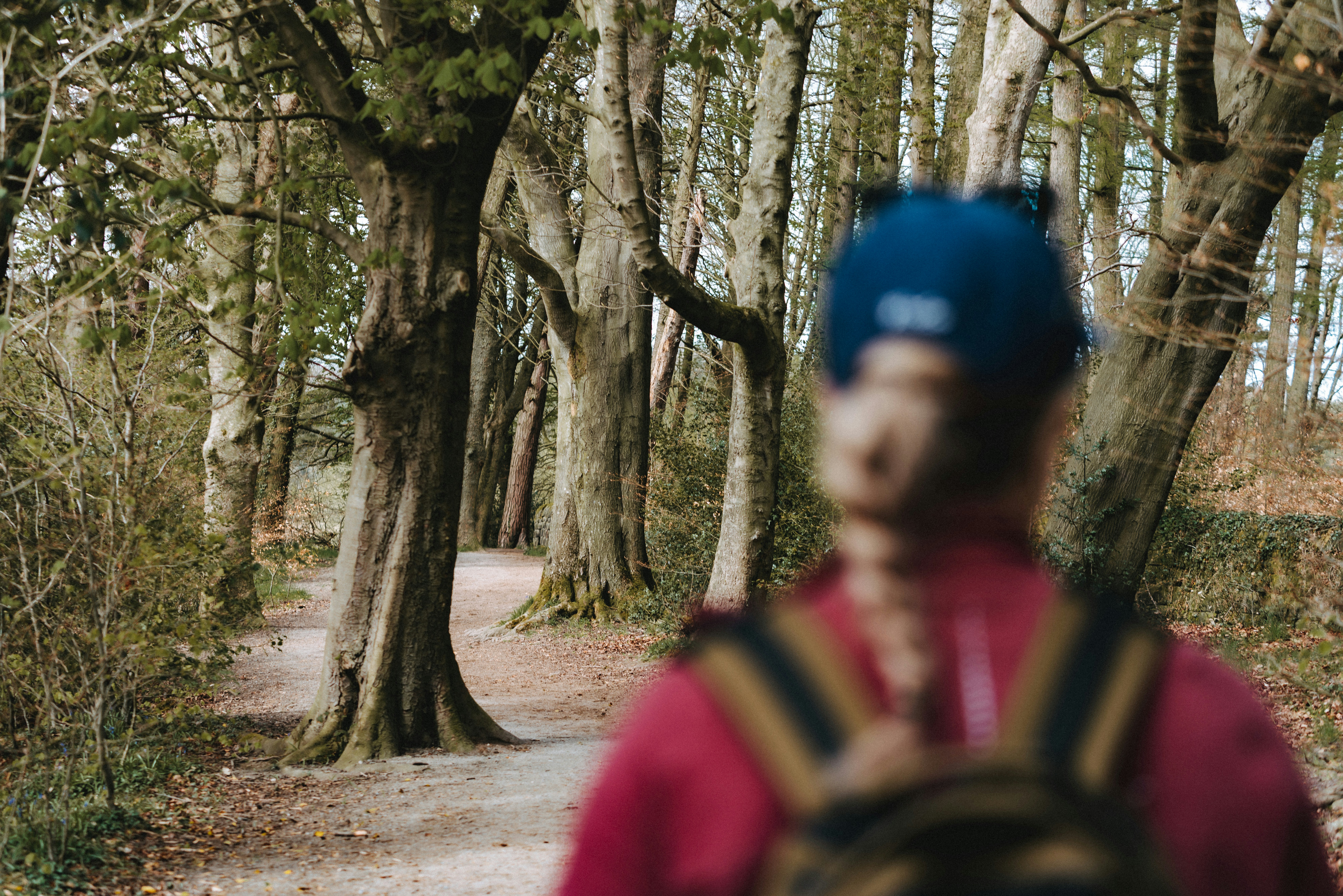 A person walks down a path in the woods.