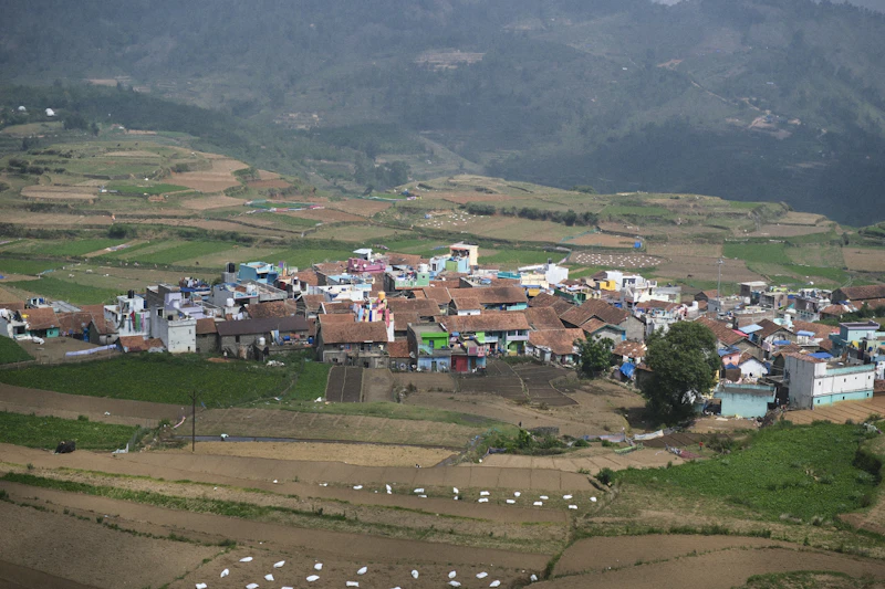 Best Local Shopping in Kodaikanal: Bazaars, Textiles, and Crafts Worth Buying