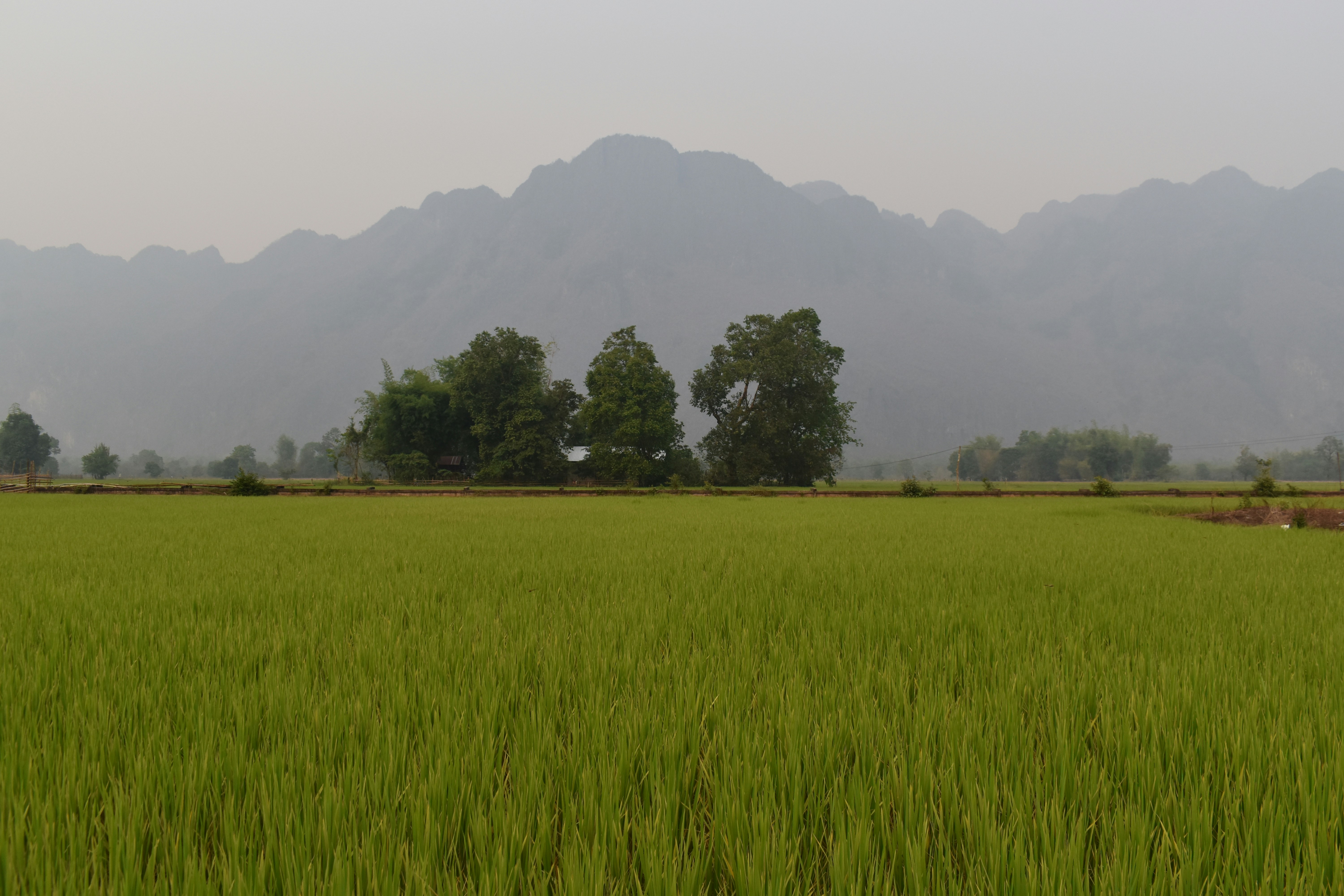 Photo by annnnnnnna8