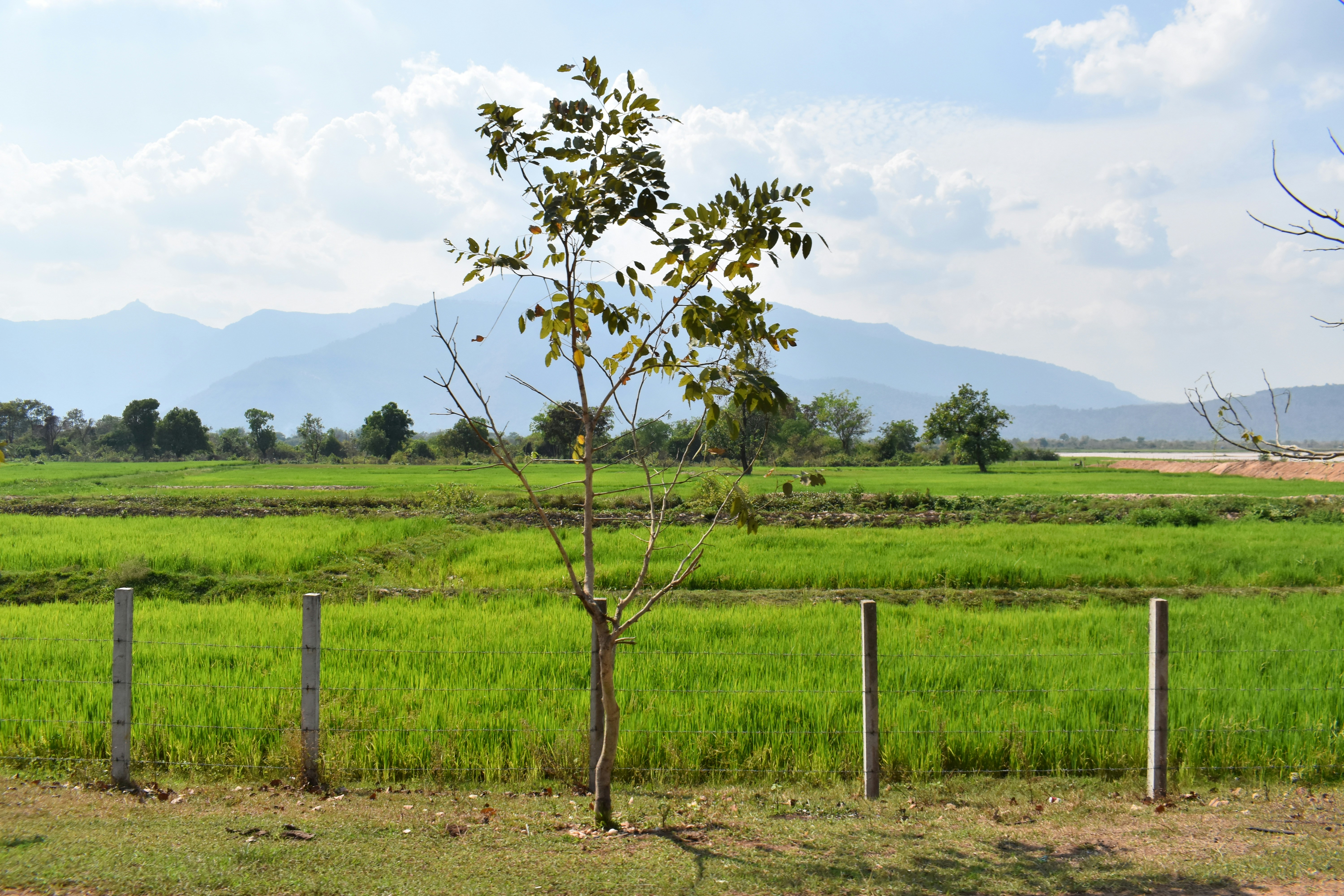 Photo by annnnnnnna8