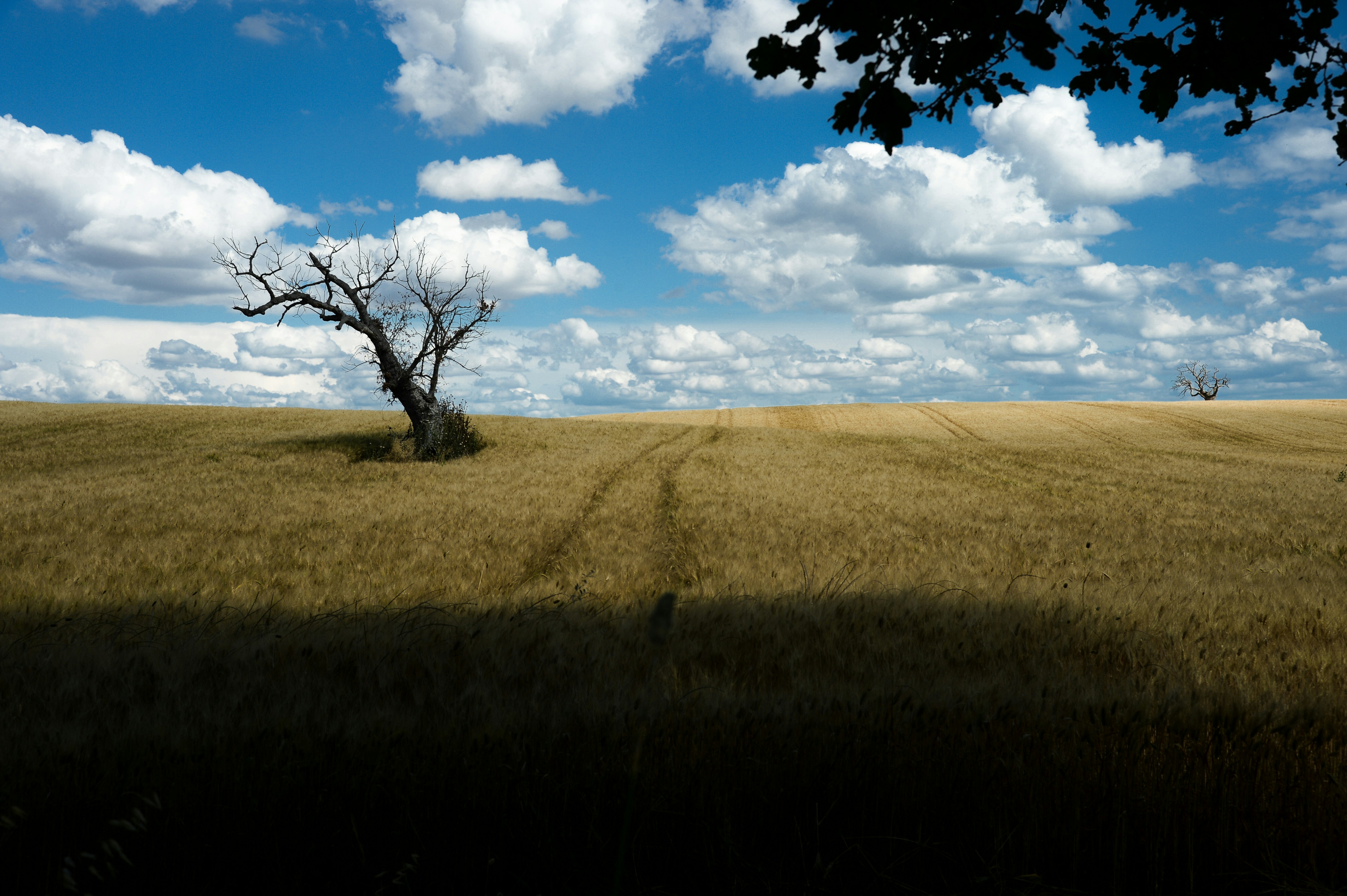 Photo by lucaakalu