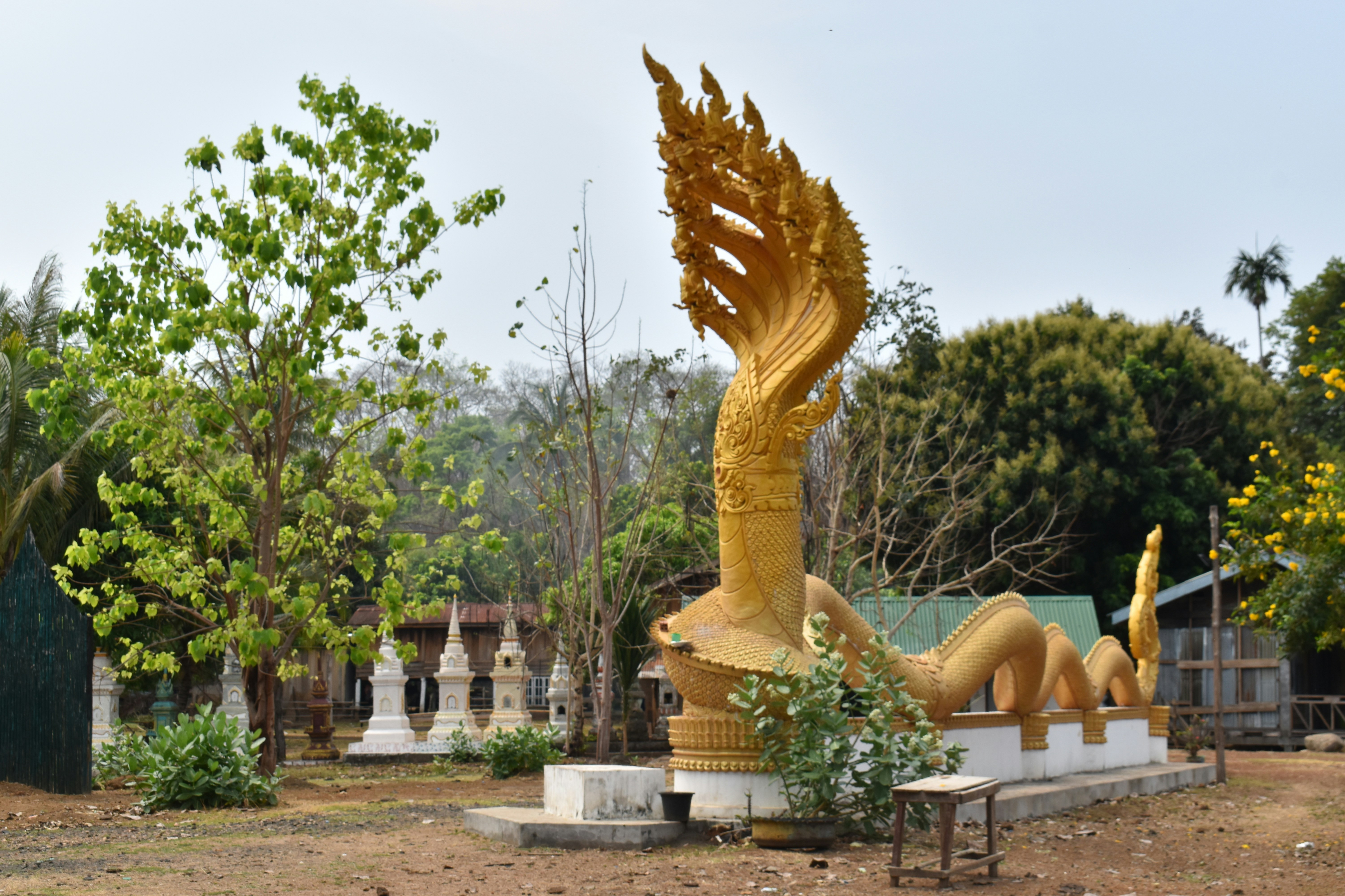 Photo by annnnnnnna8