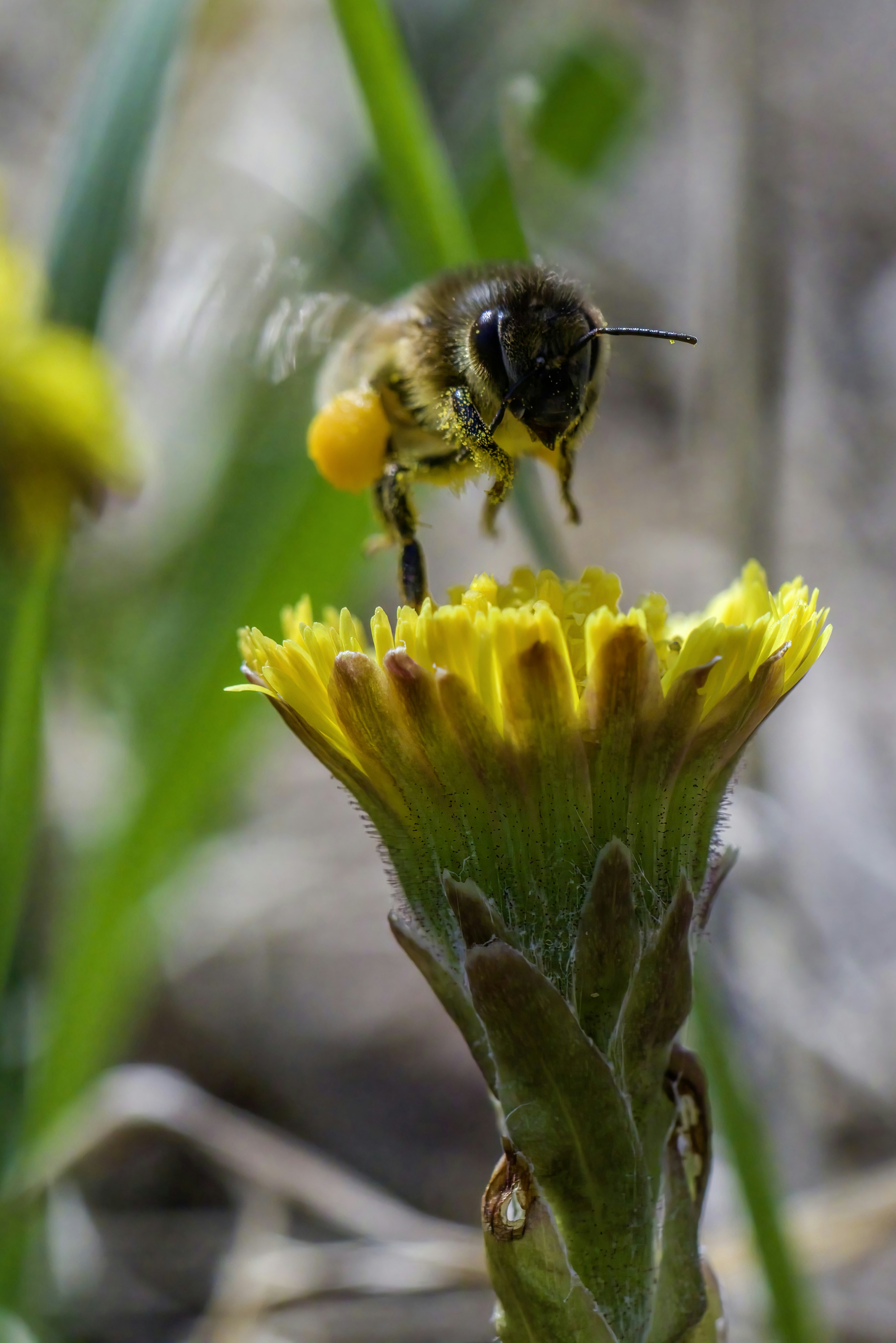 Photo by erik_karits