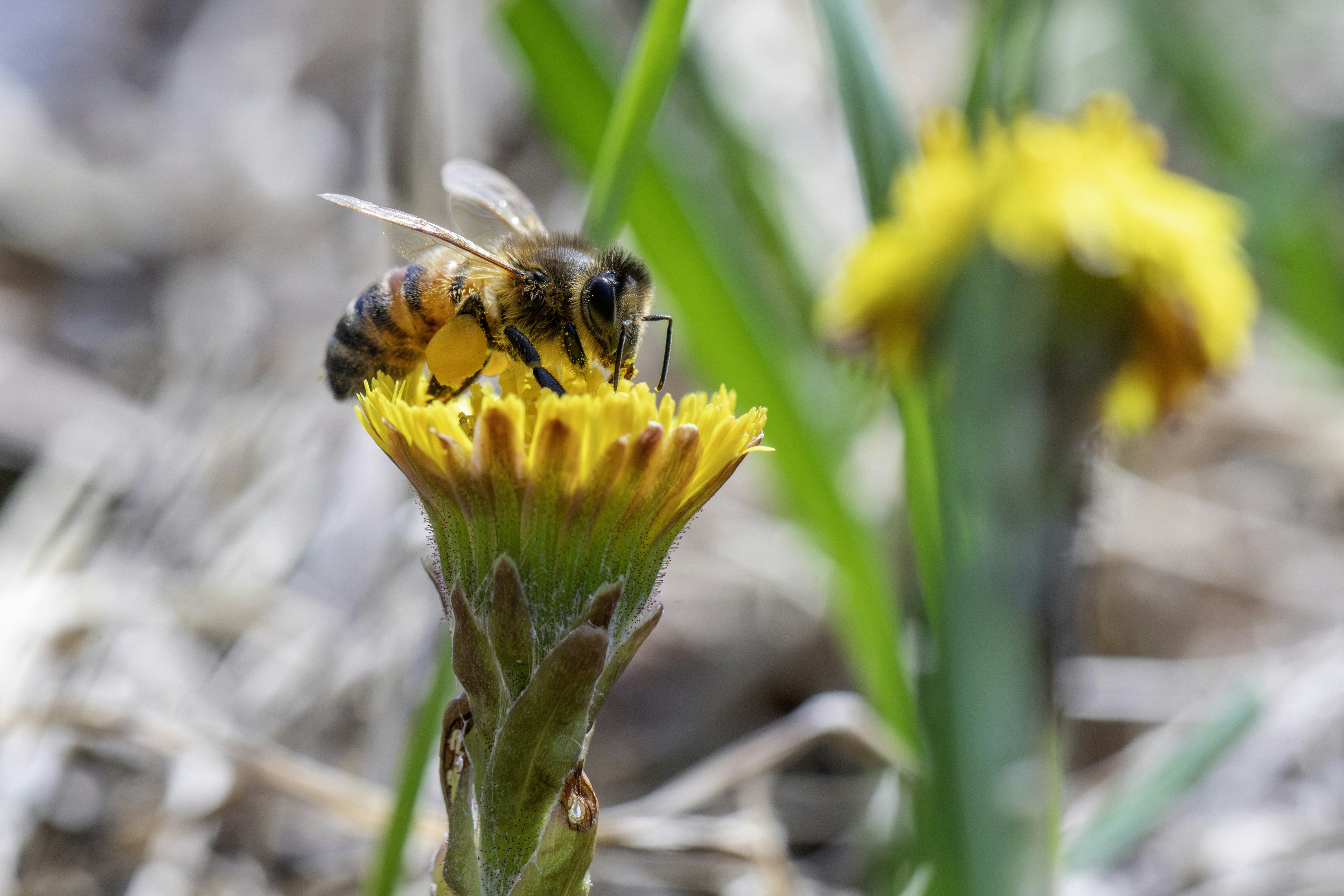 Photo by erik_karits