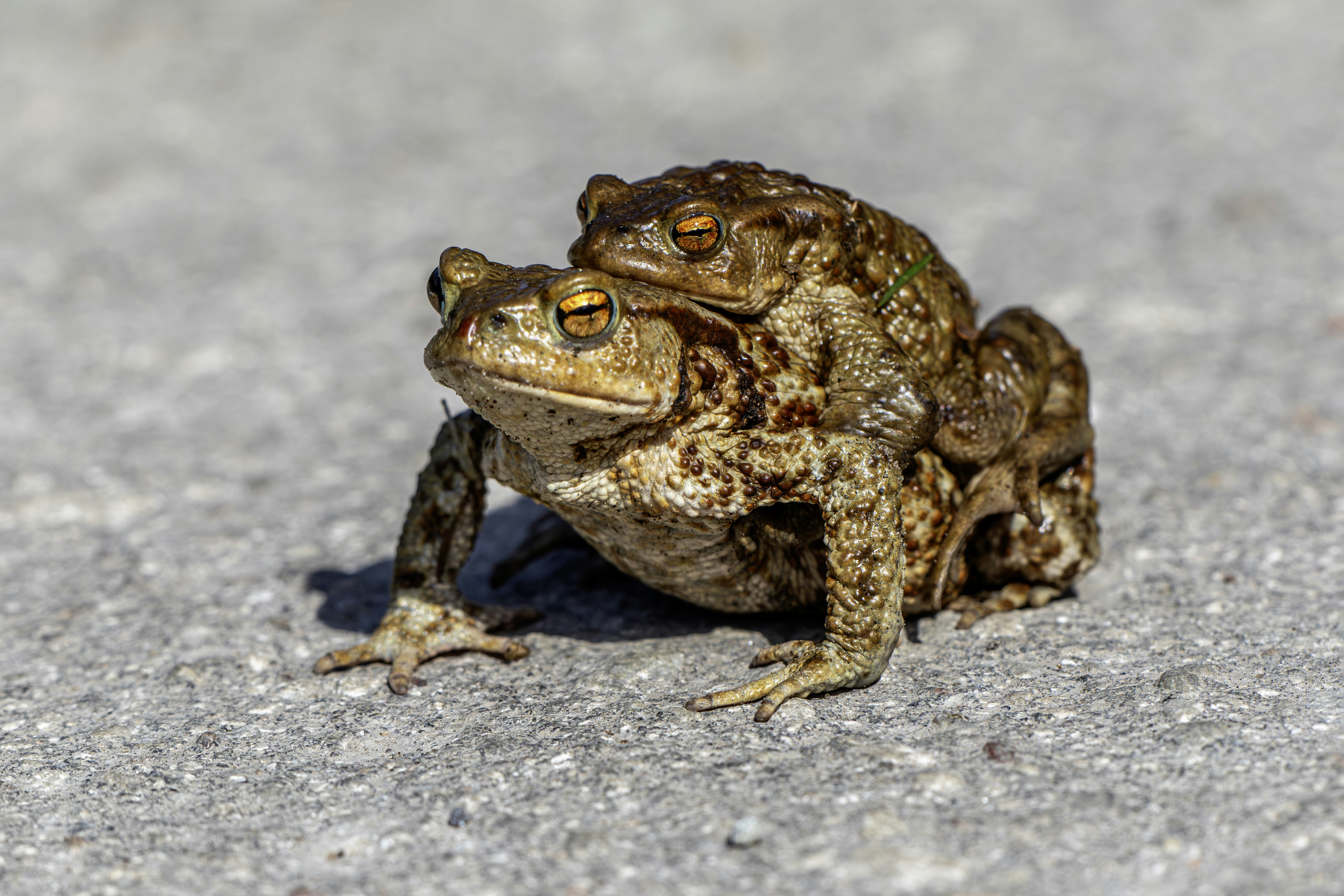 Photo by erik_karits