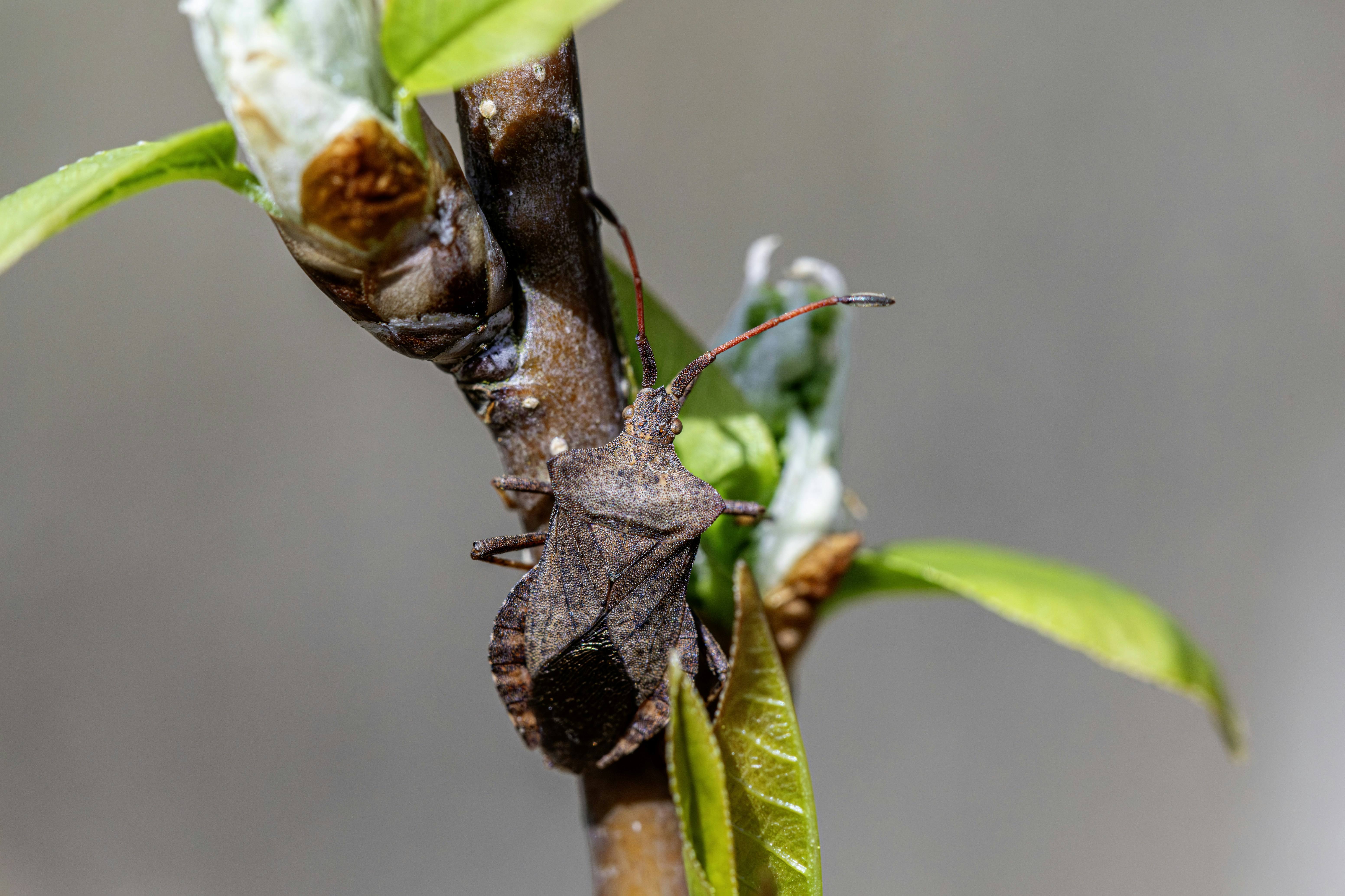 Photo by erik_karits