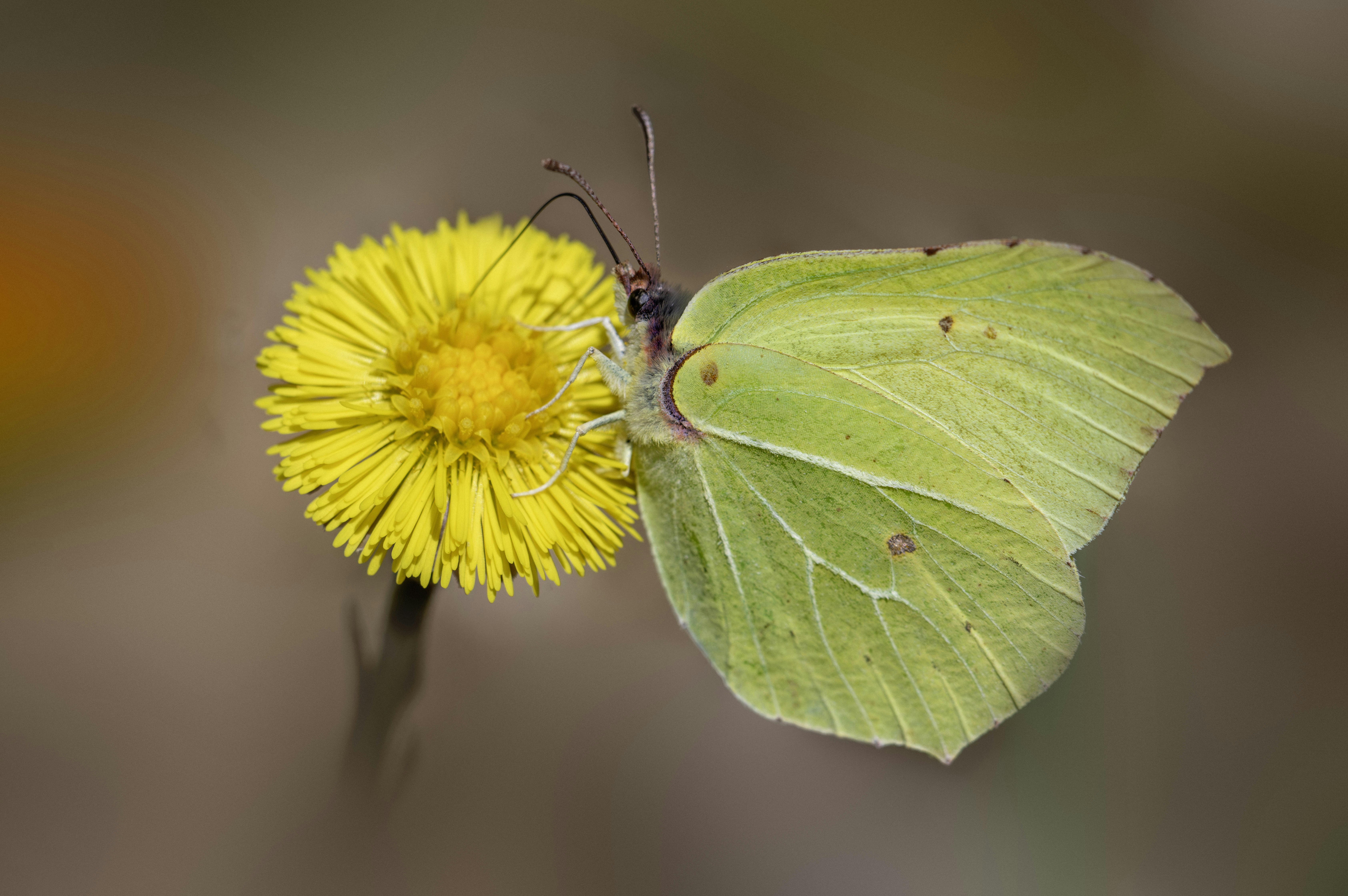 Photo by erik_karits