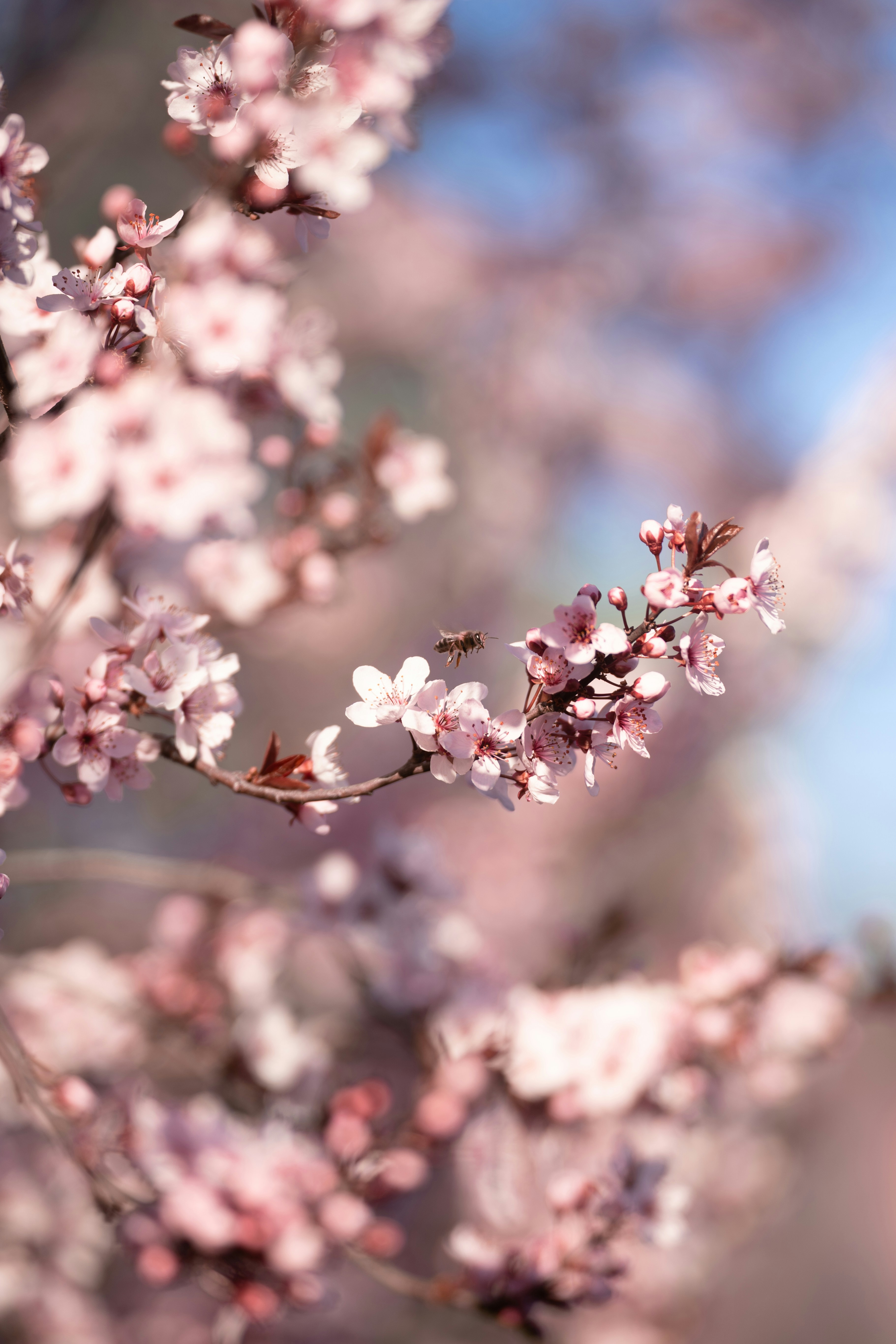 Photo by jakubklucky