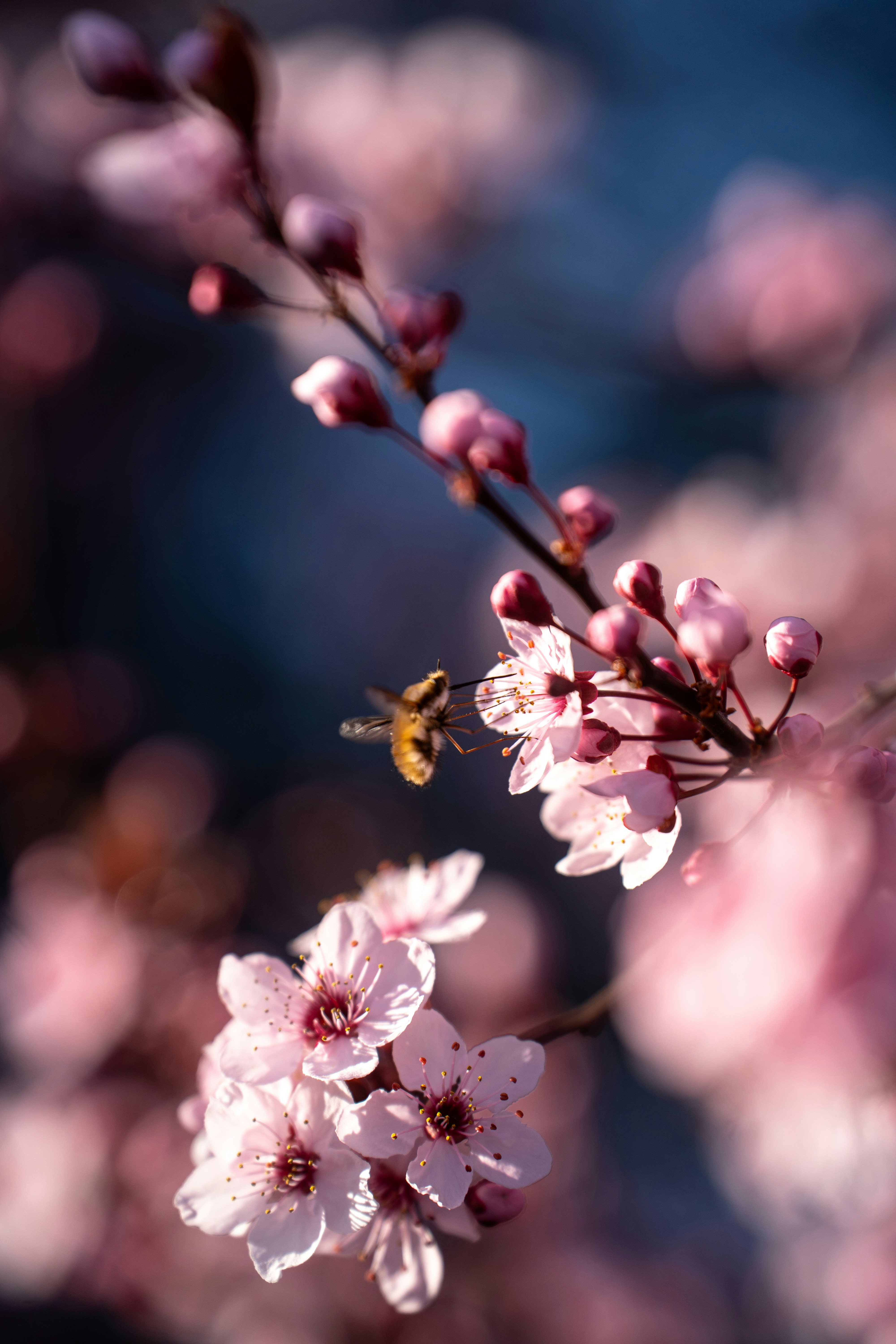 Photo by jakubklucky