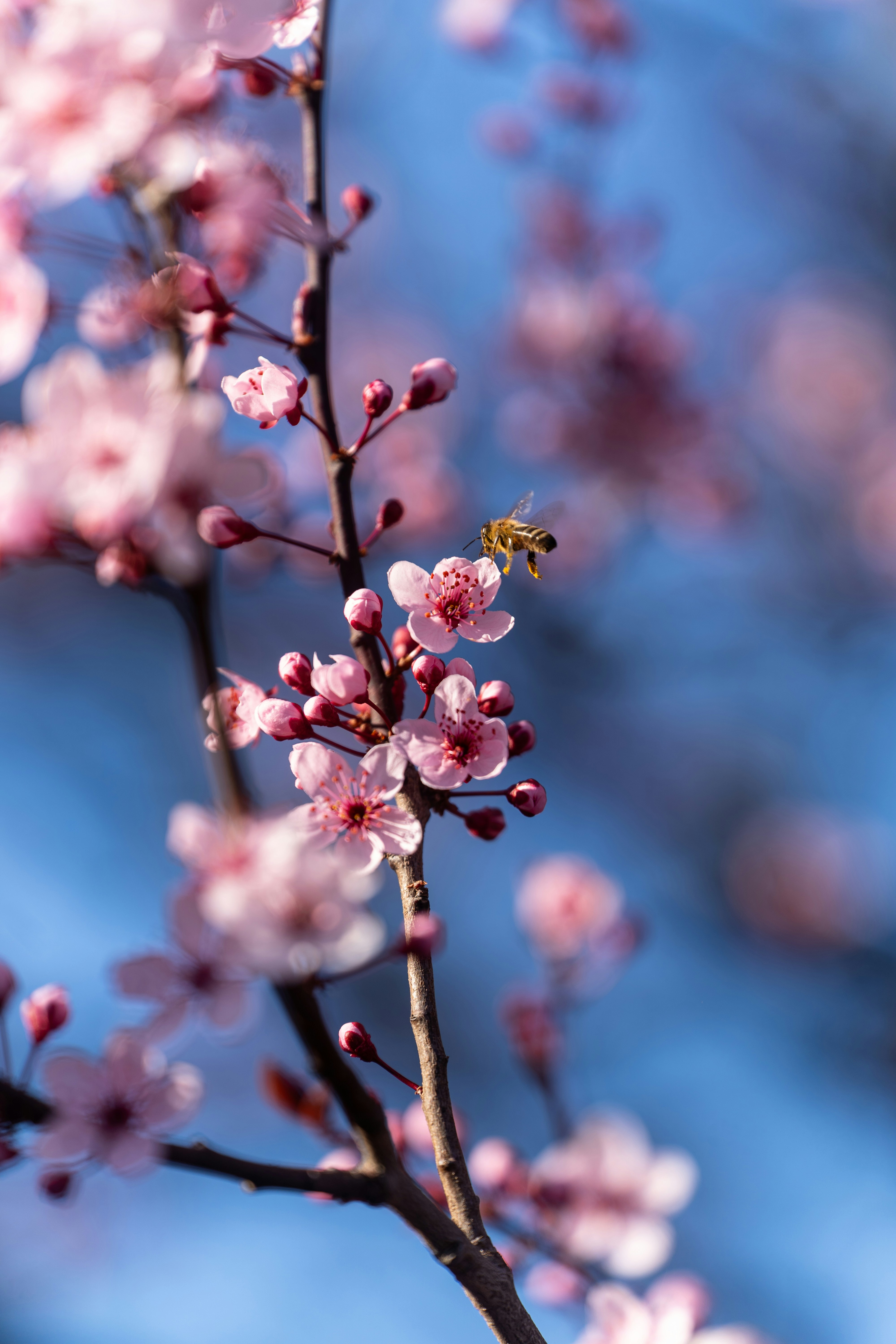 Photo by jakubklucky