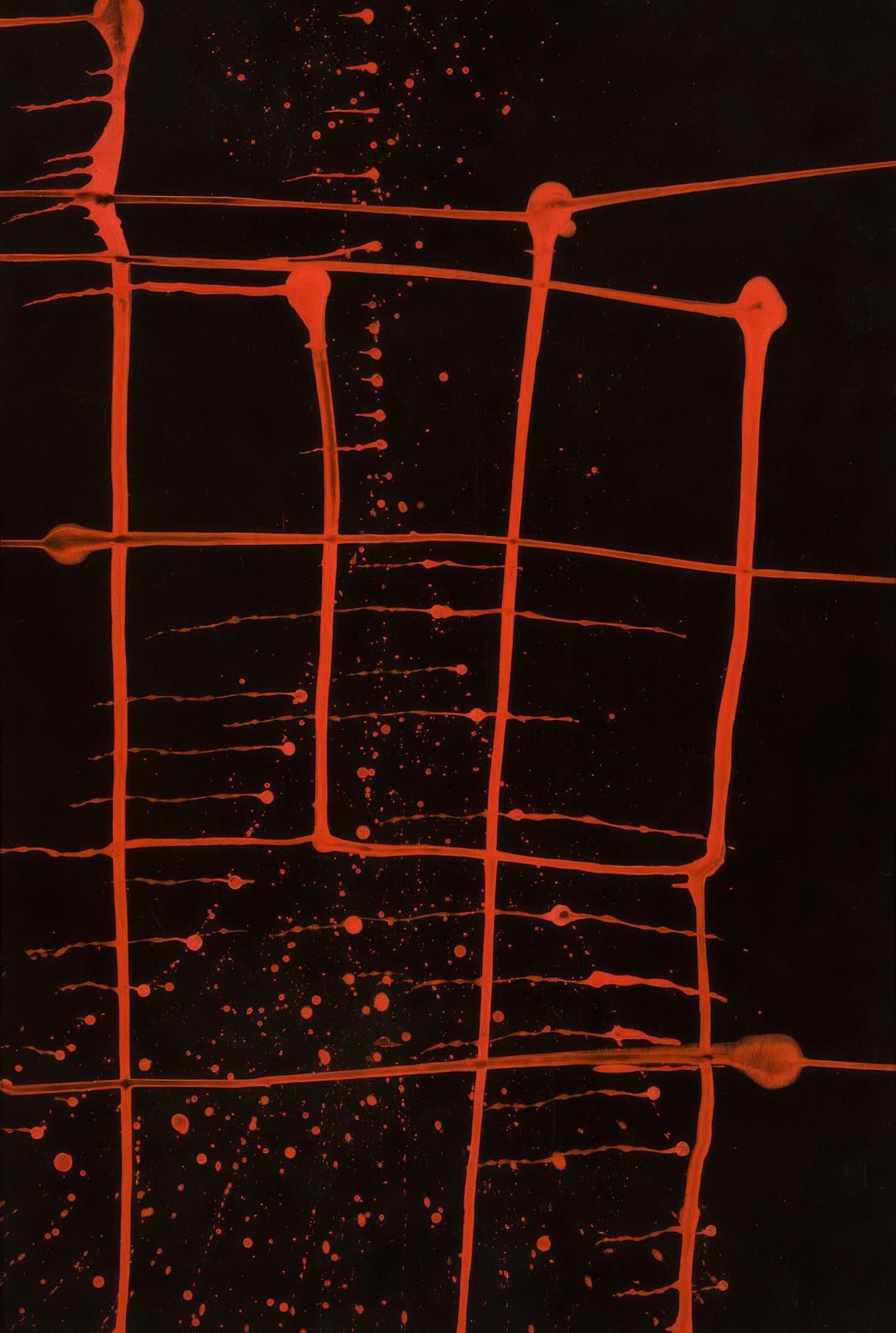 Website (Course) check course