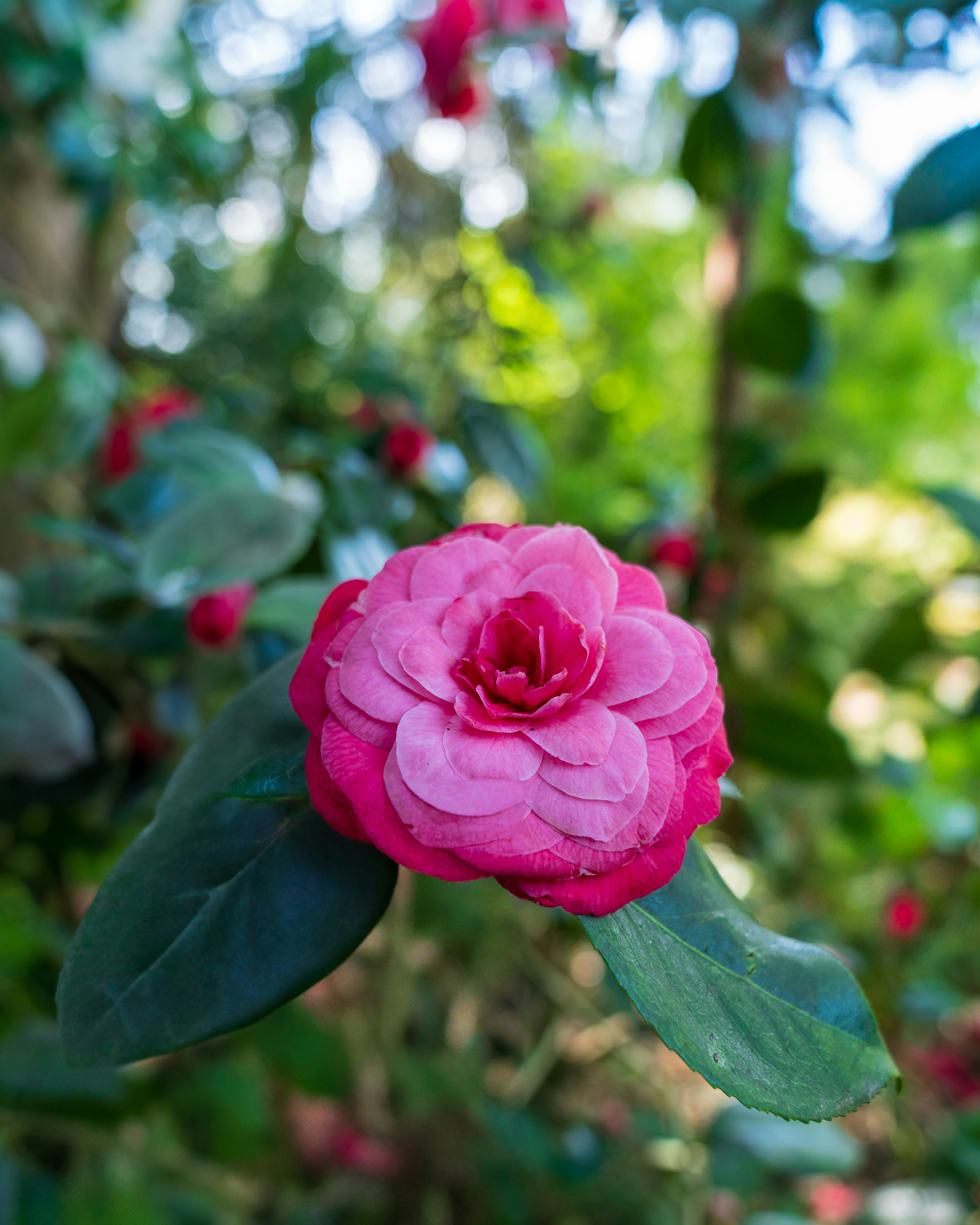 Photo by bangscreative