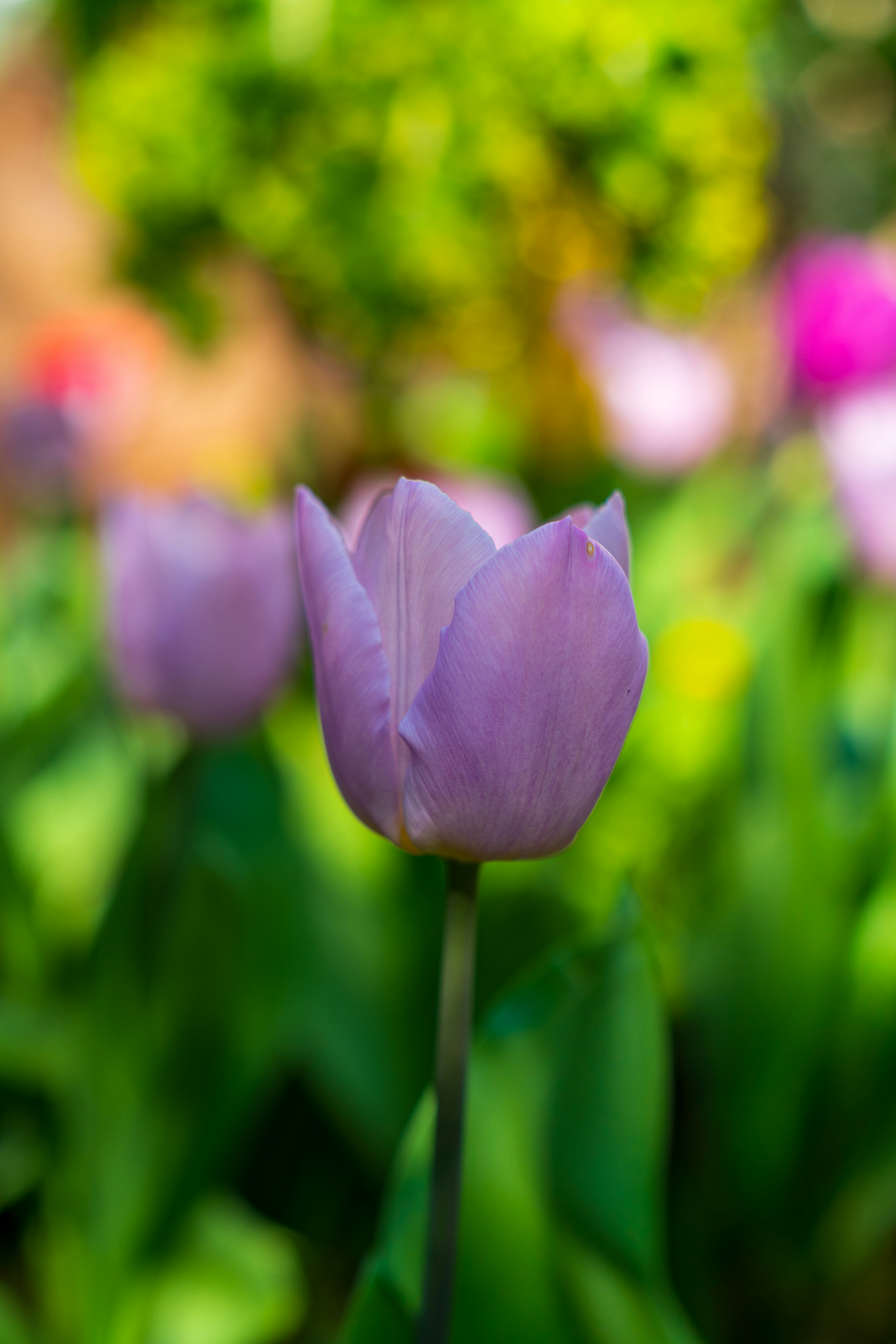 Photo by bangscreative