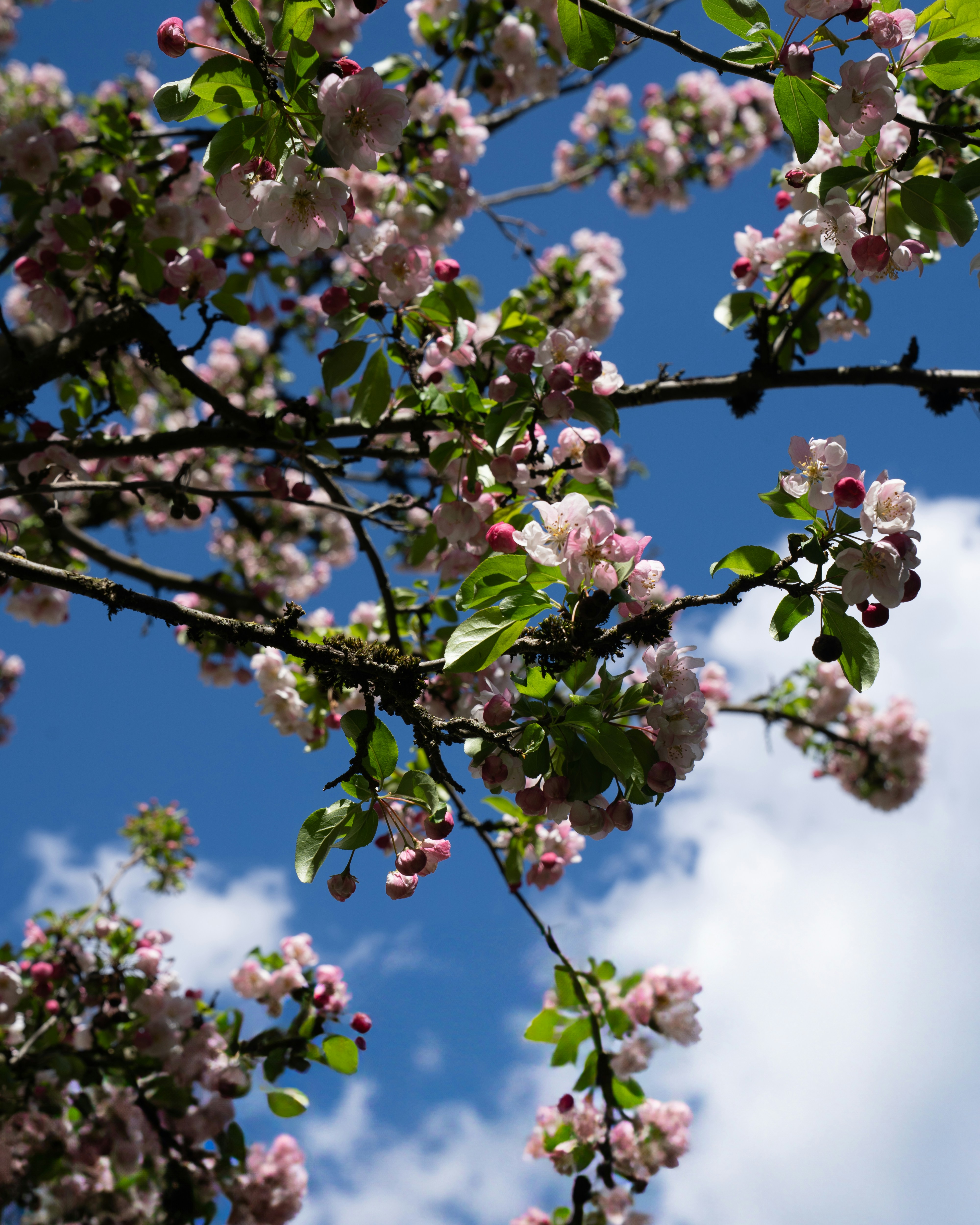 Photo by bangscreative