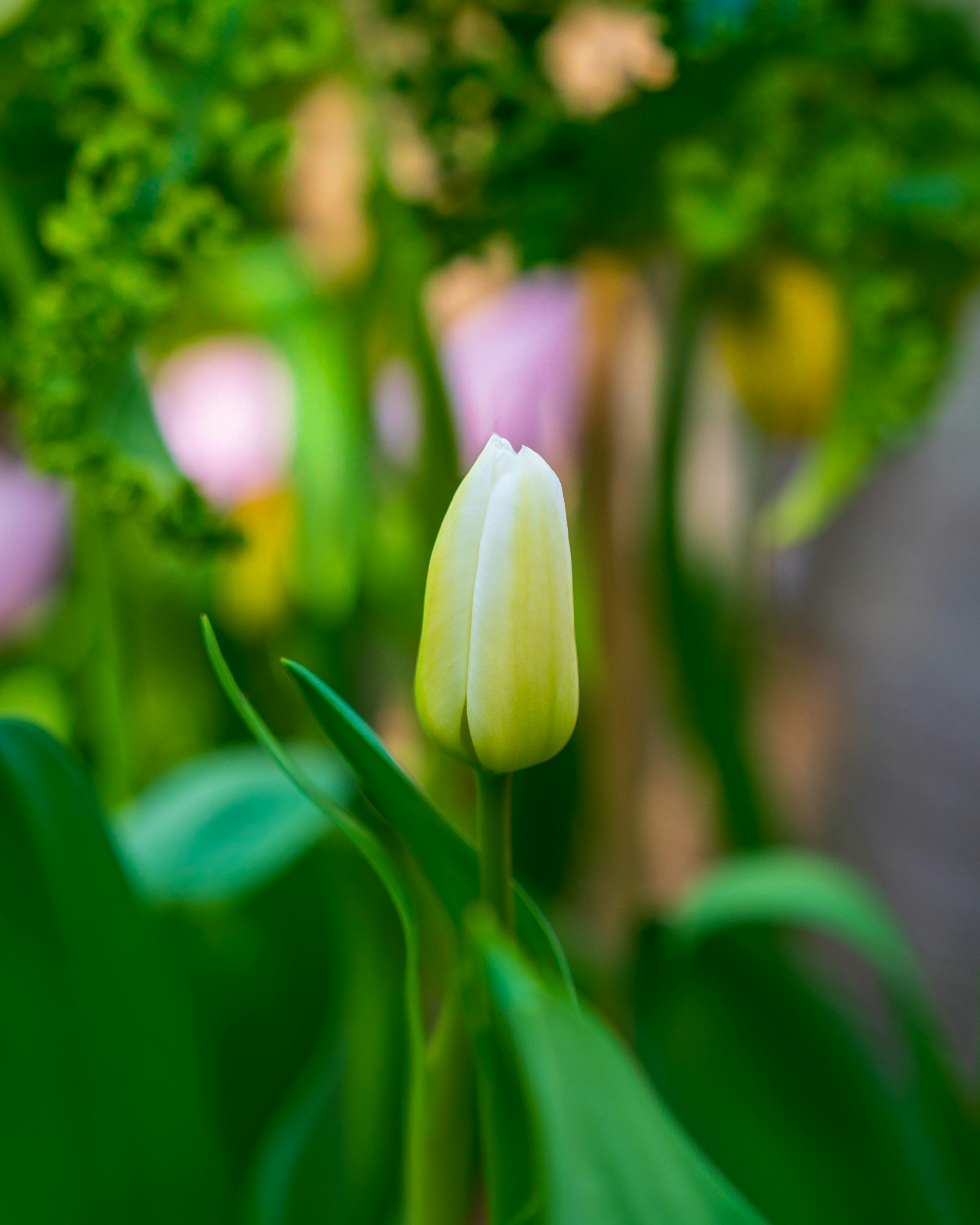 Photo by bangscreative