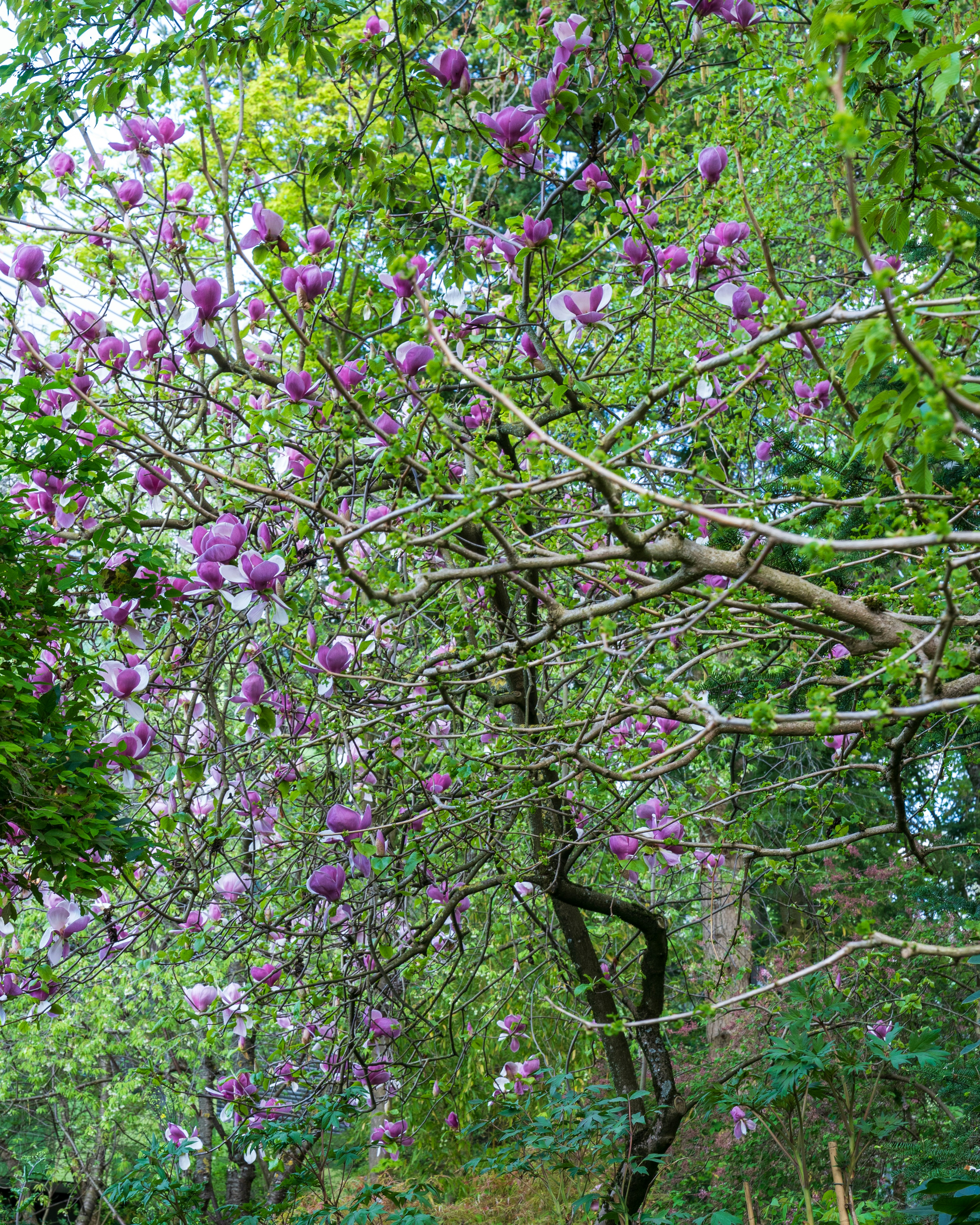 Photo by bangscreative