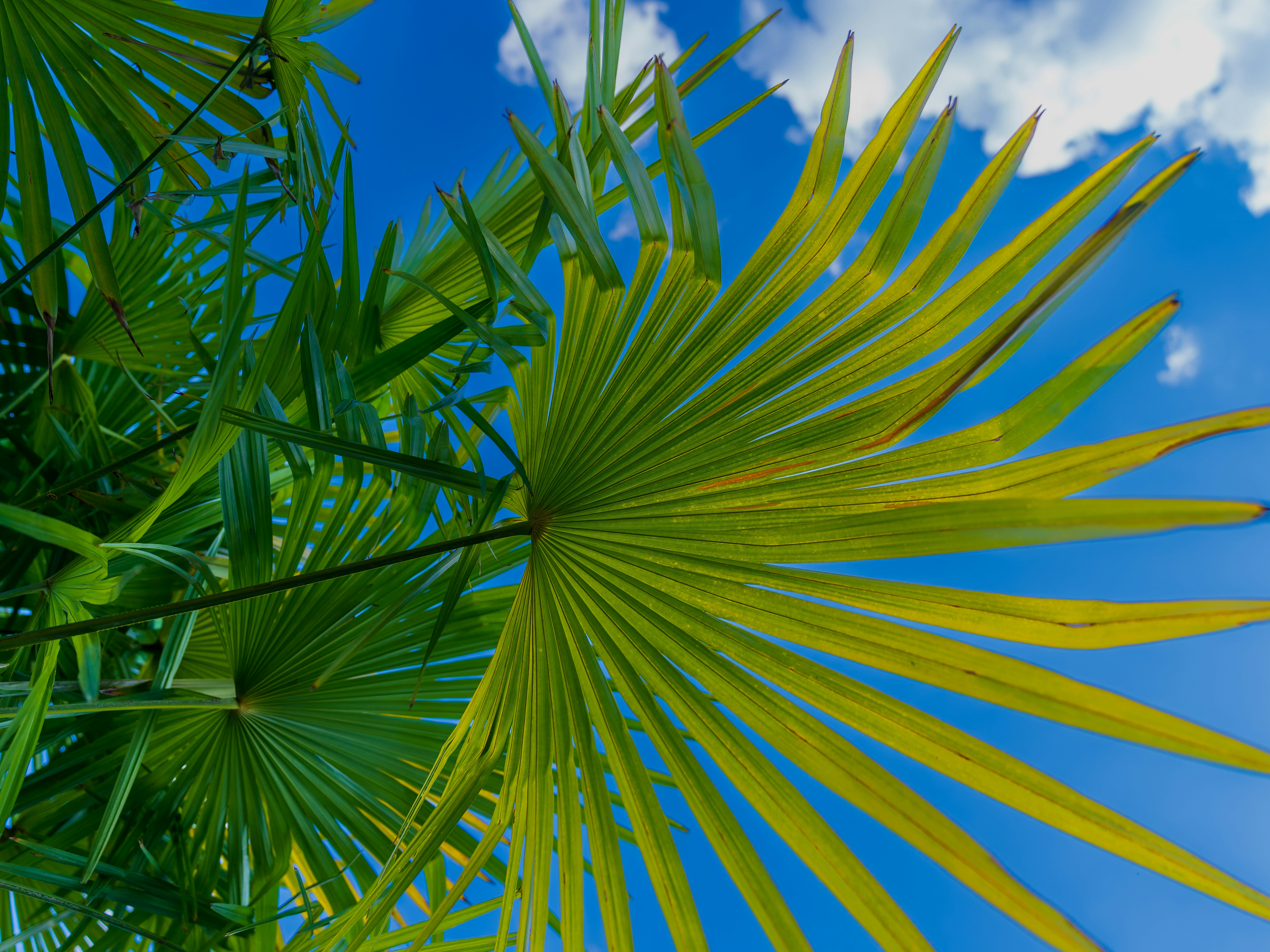 Photo by bangscreative