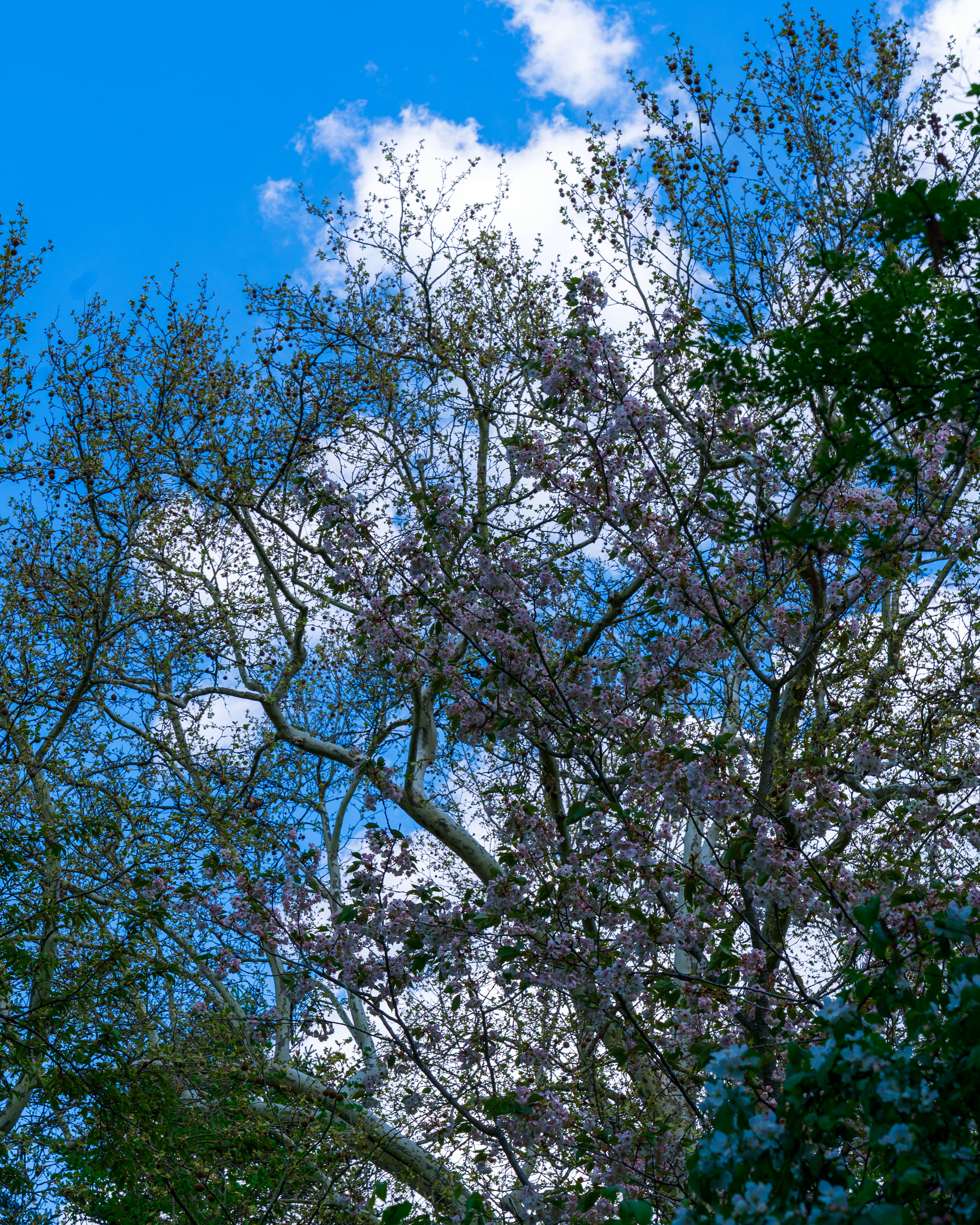 Photo by bangscreative