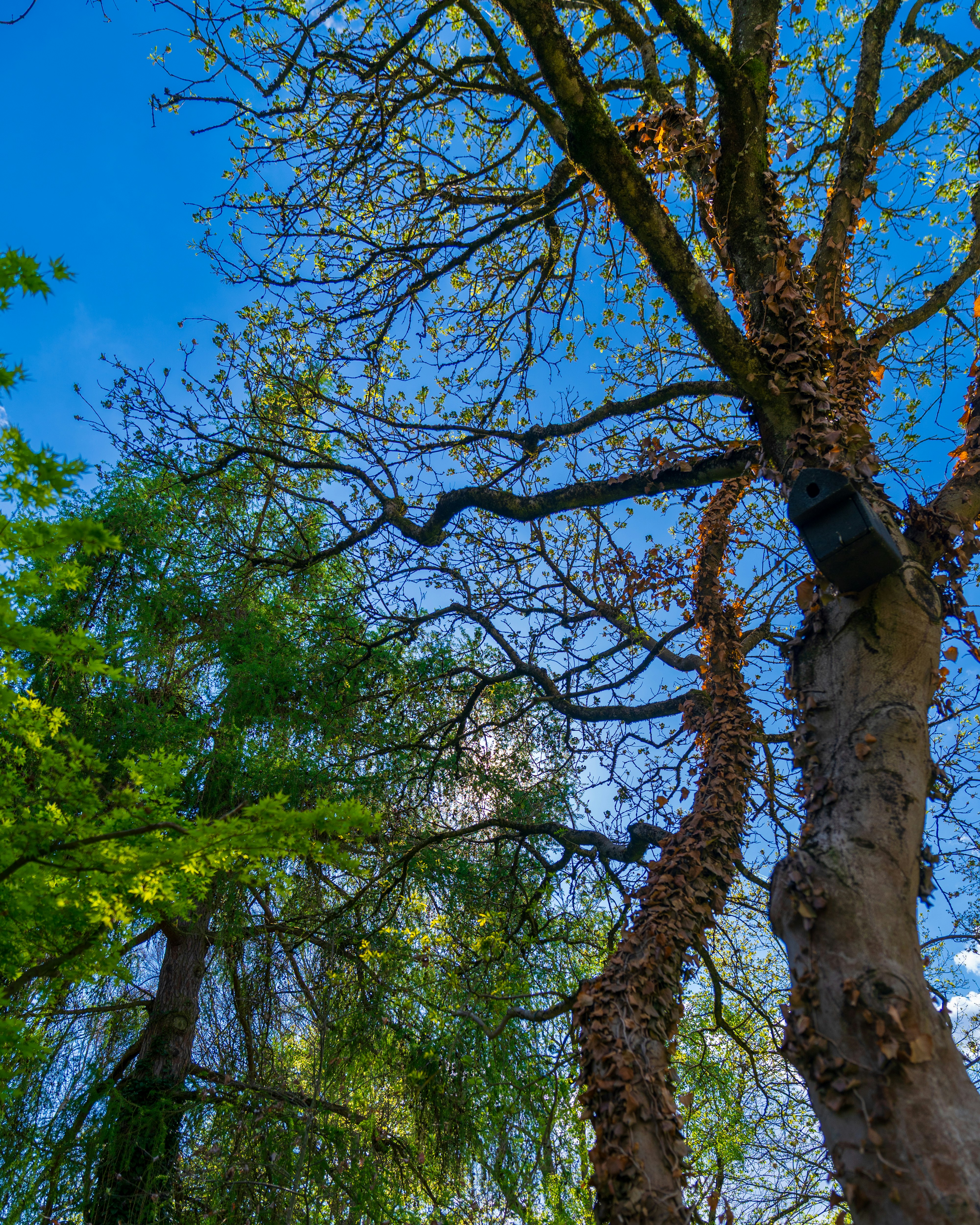 Photo by bangscreative