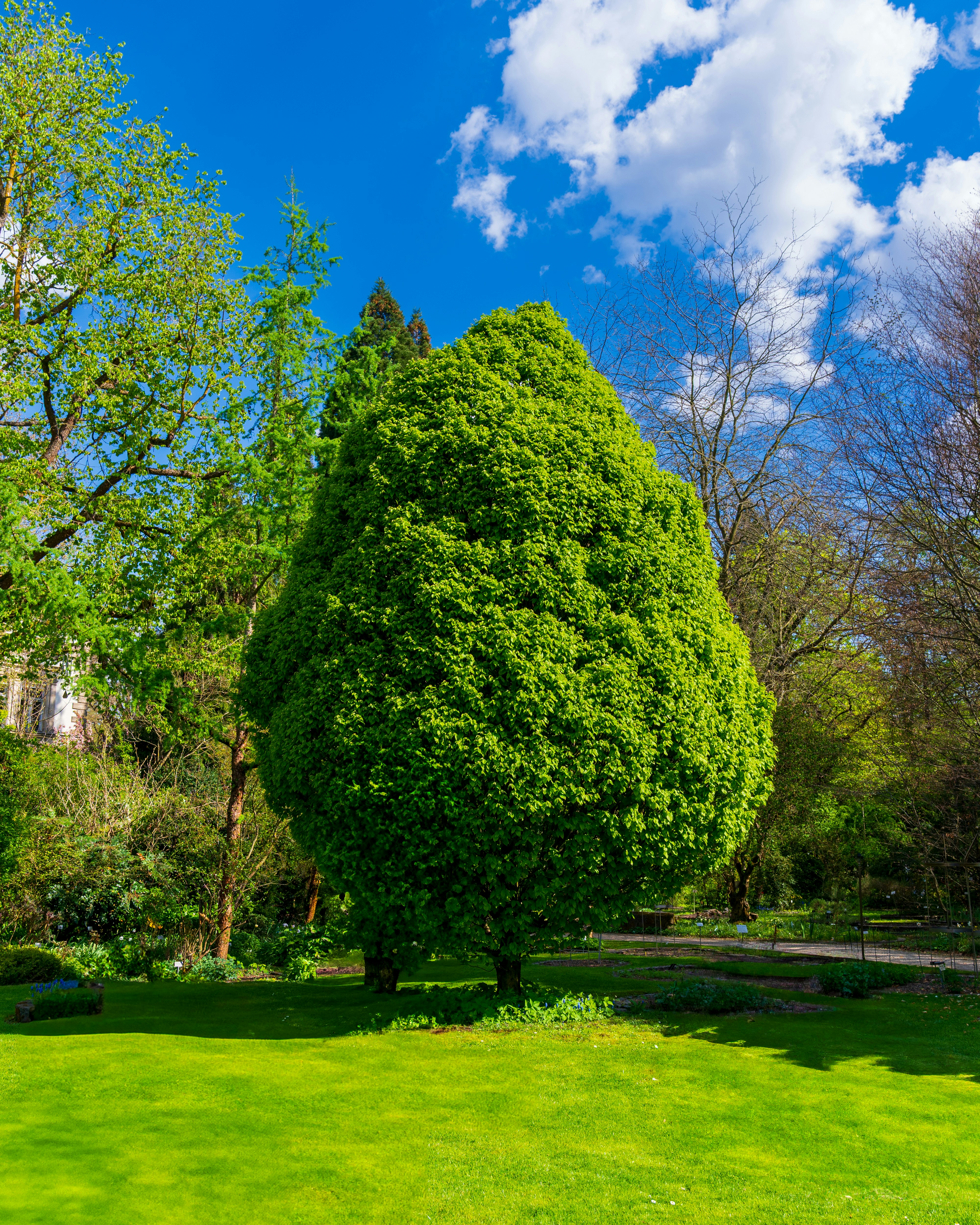 Photo by bangscreative