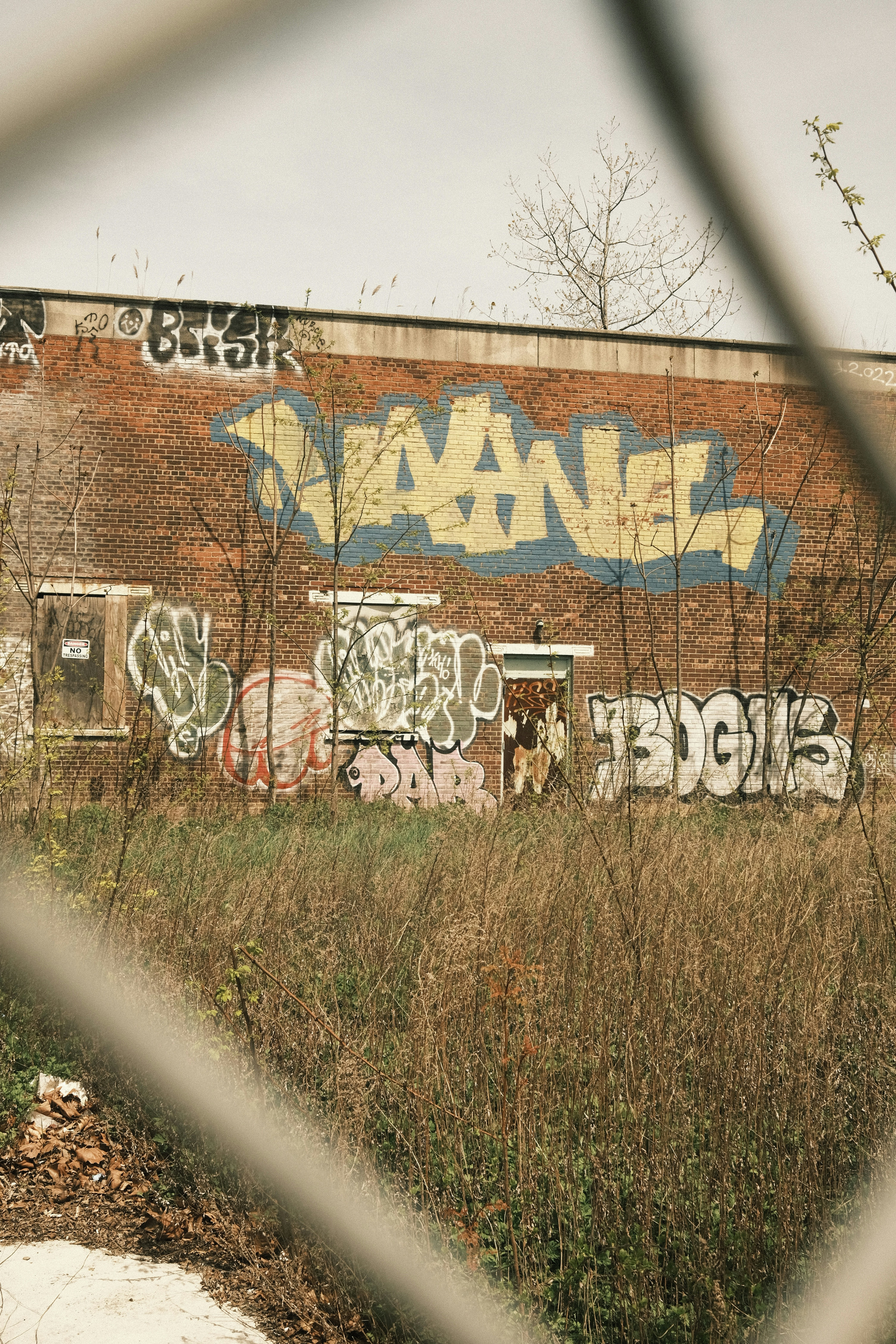 Graffiti art adorns a brick building's exterior.